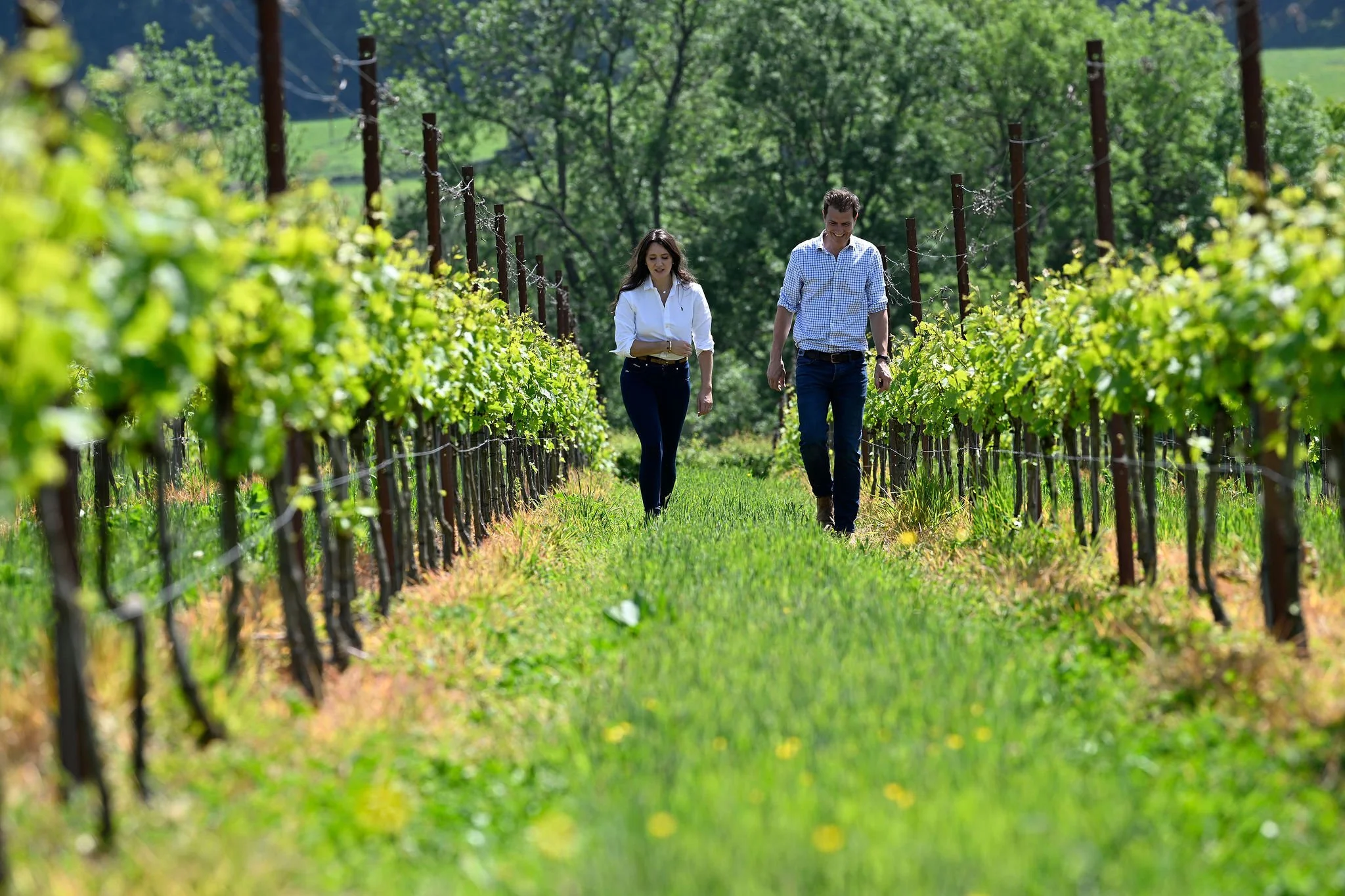 Otium Wine Estate - Emily and Andrew.jpg