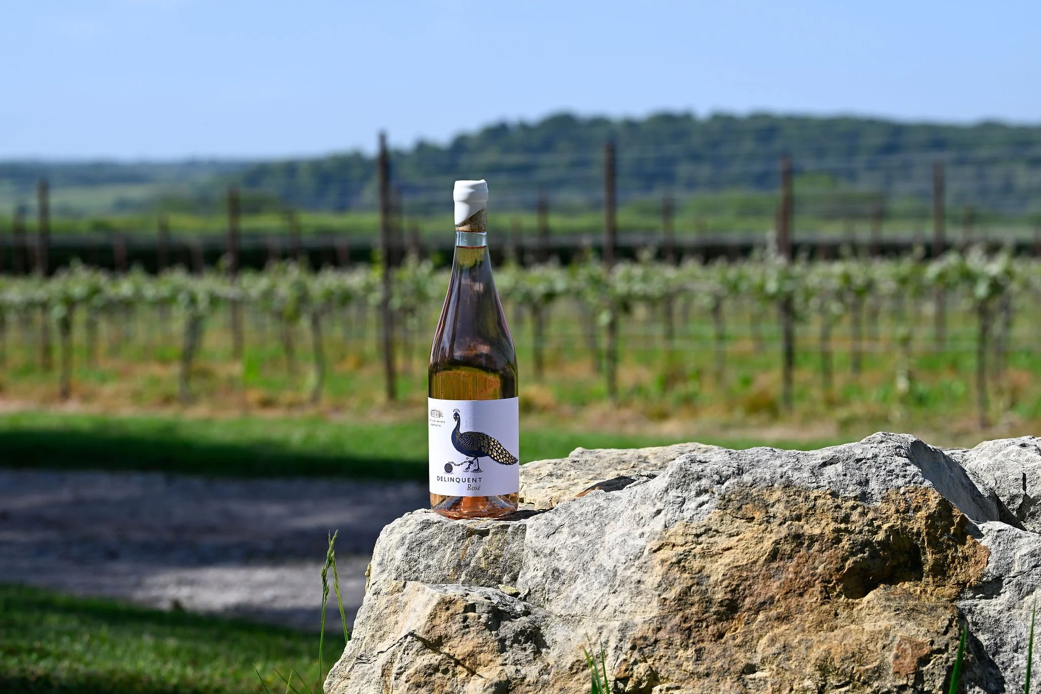 Otium Delinquent Rosé Estate View LR.jpg