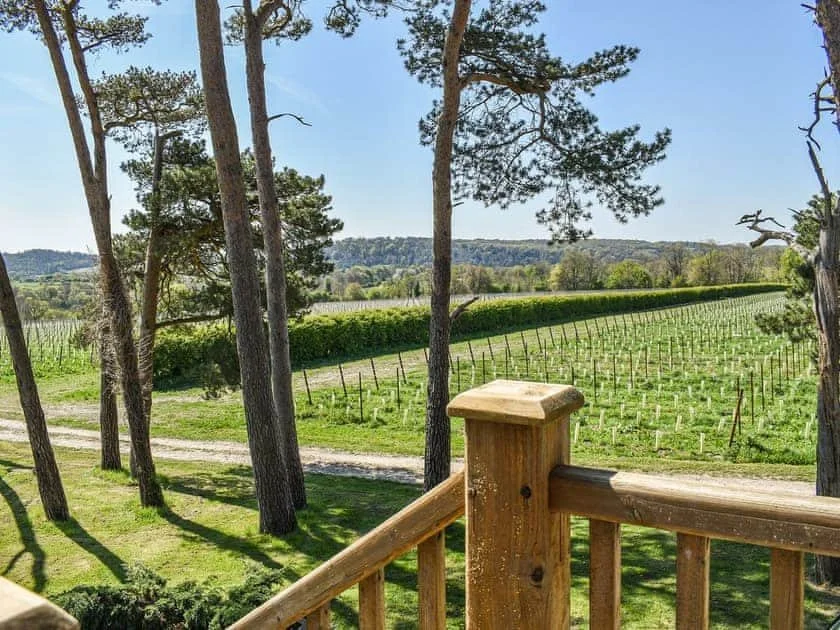 View from a wooden balcony overlooking a vineyard with rows of grapevines and surrounding trees, under a clear blue sky.