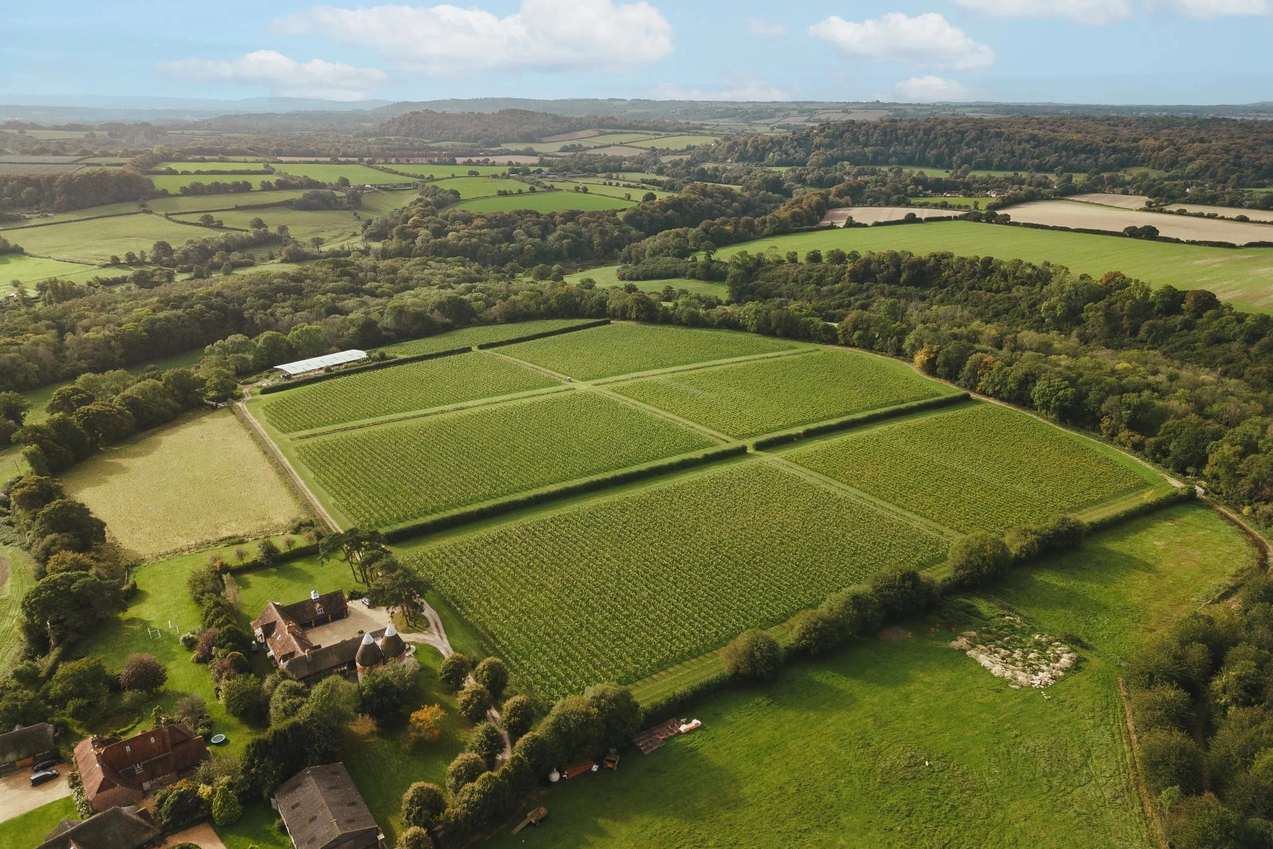 English wine tour from London
UK vineyard experience
wine tourism England