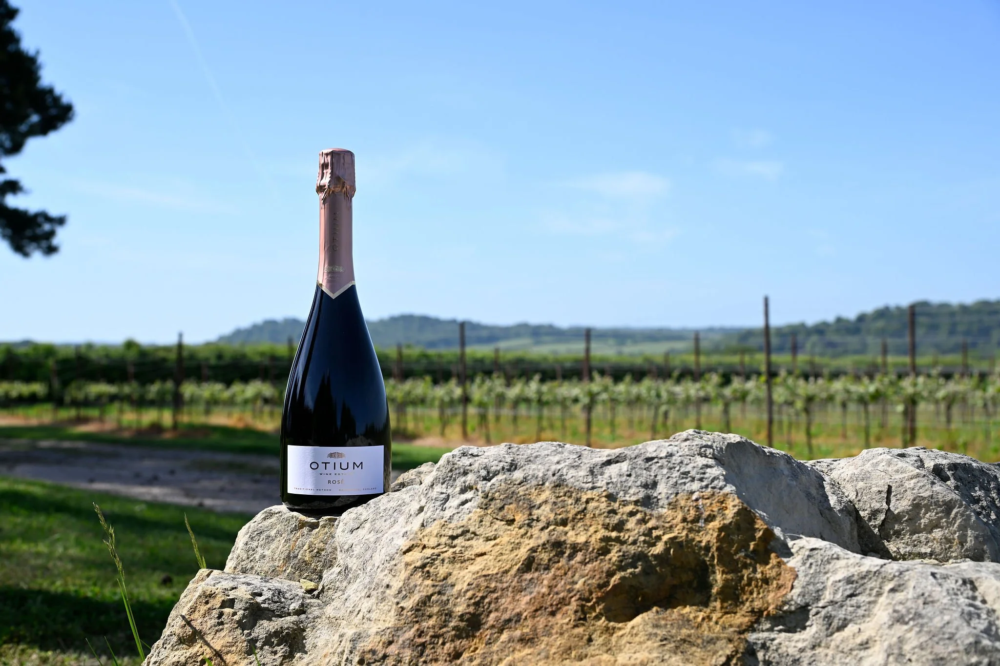Otium Estate Rosé - Estate Rock LR.jpg