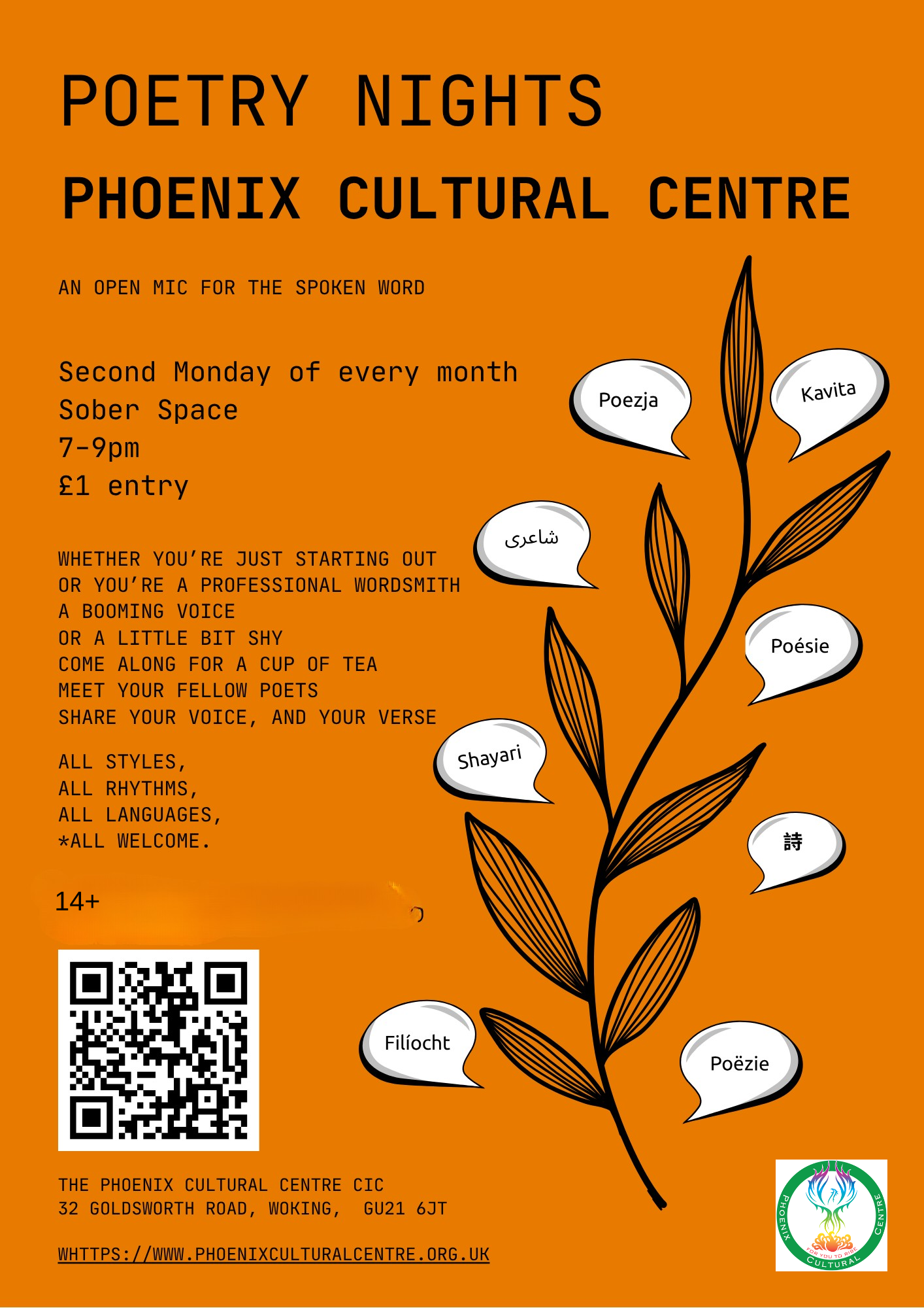 Multi Cultural Poetry Night - Sober Space 