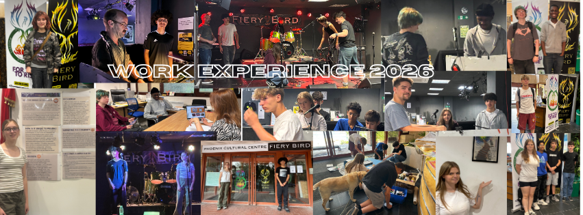 Work Experience 2026