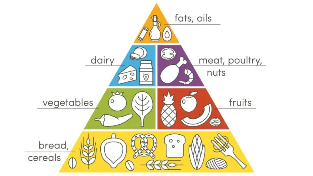 1992 U.S. Dietary Guidelines Food Pyramid