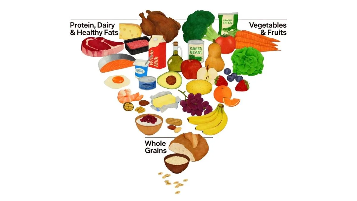New Food Pyramid from the 2025-2030 U.S. Dietary Guidelines