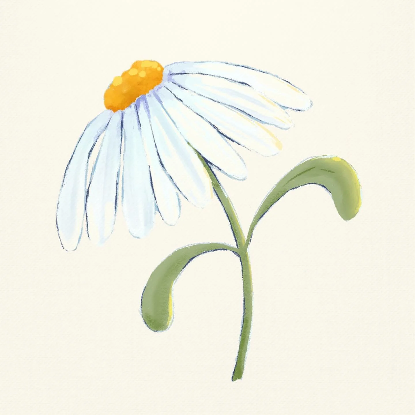 01. DAISY 

trying something new this year!! day 01 of #peachtober2024 with a goal of pushing myself to grow in my digital art skills! starting simple today with a piece focused on shape and color 

#peachtober24daisy