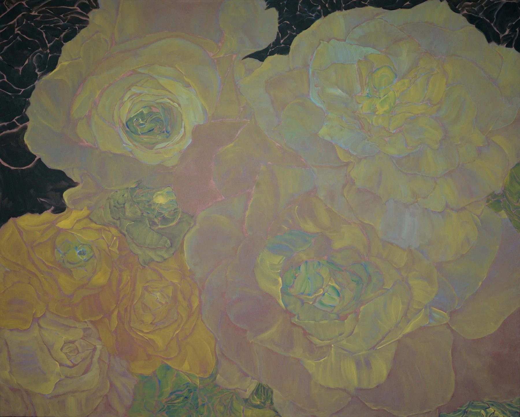 Night Bloom
