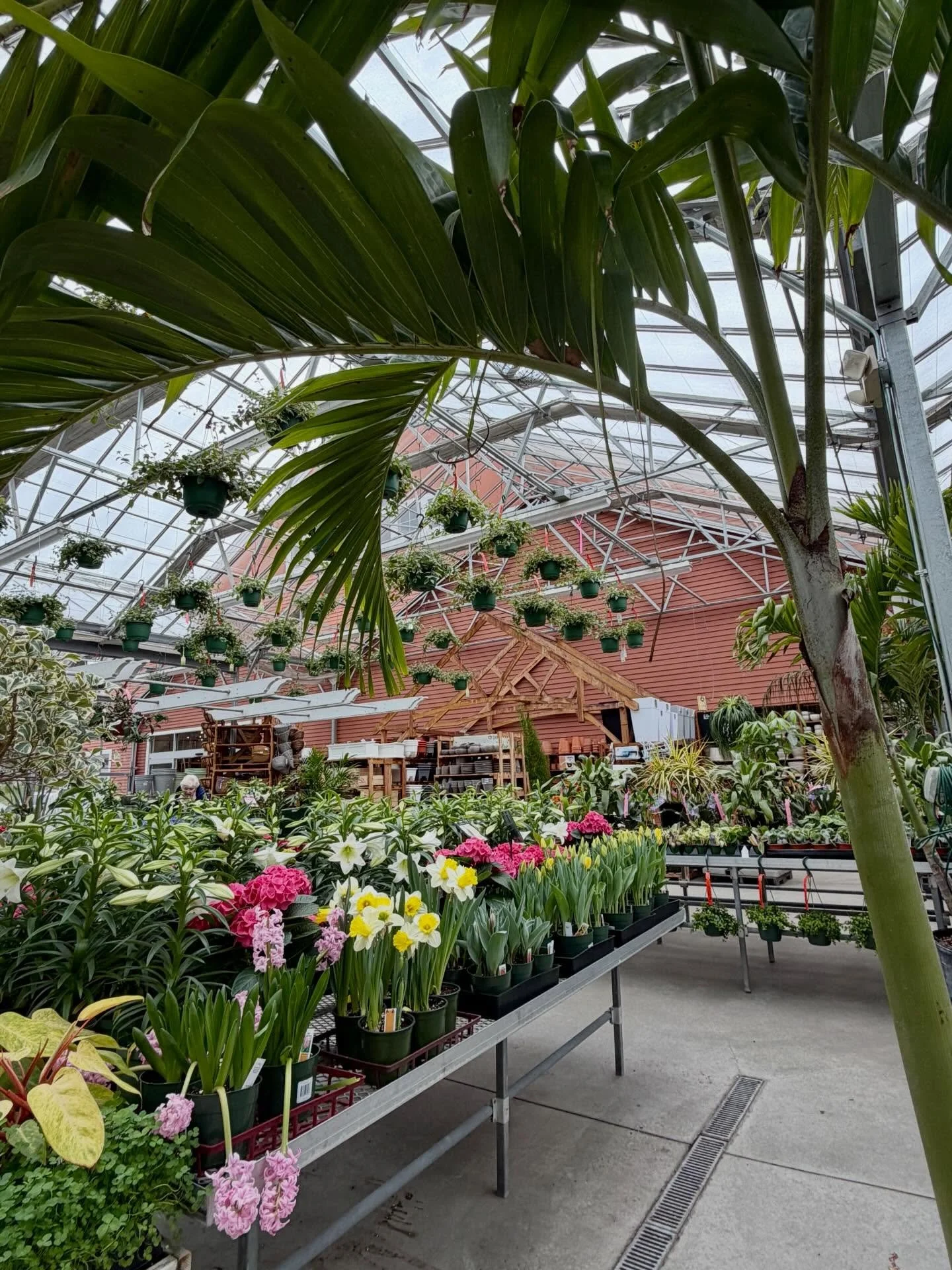 Running an errand for a friend turned into an hour of me time with coffee from my favorite plant store and two NWOT @anthropologie pieces from the one and only @jujubsrecycledwear.

We&rsquo;ve been praying and preparing for Easter over the last mont