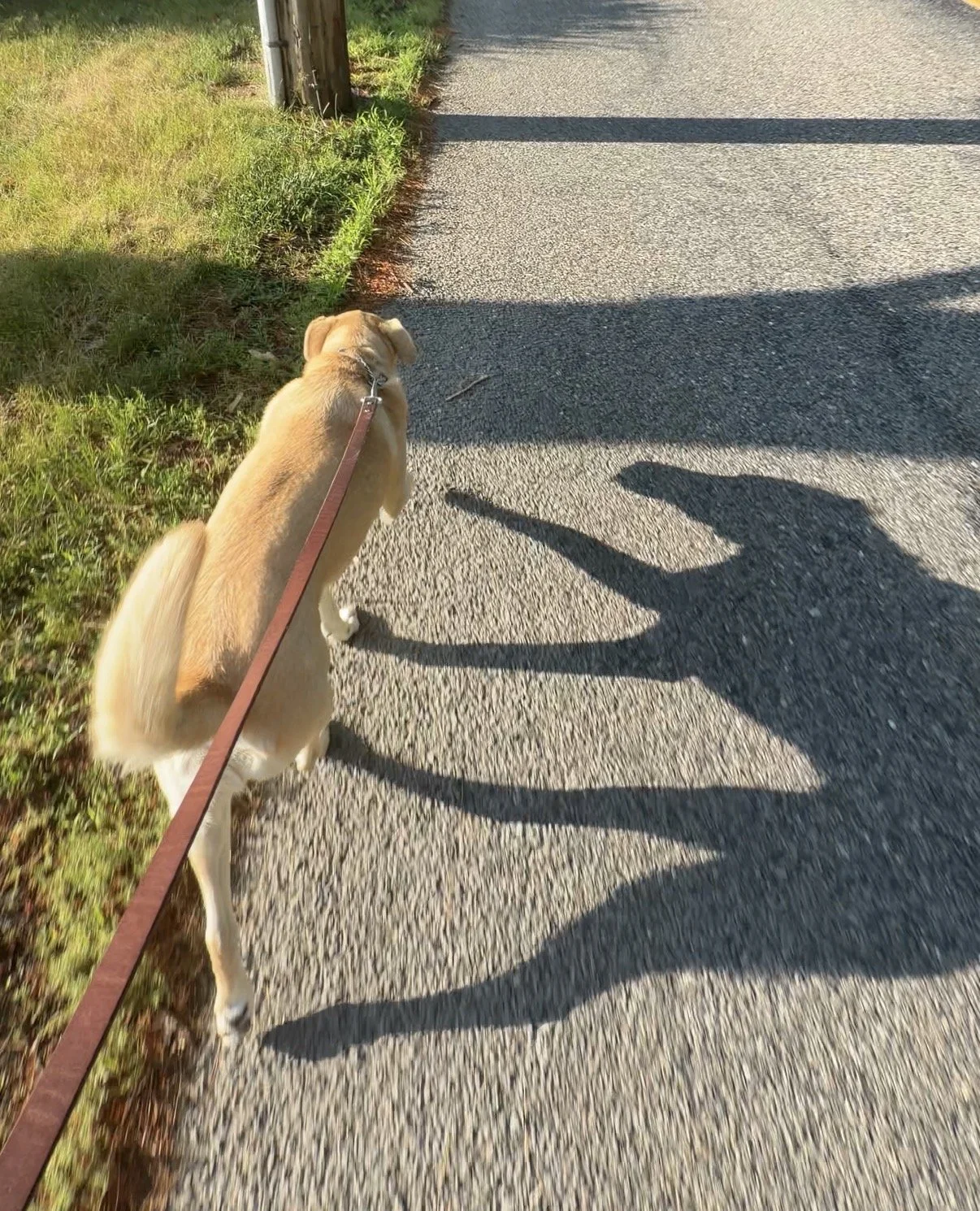 July Walking Challenge!