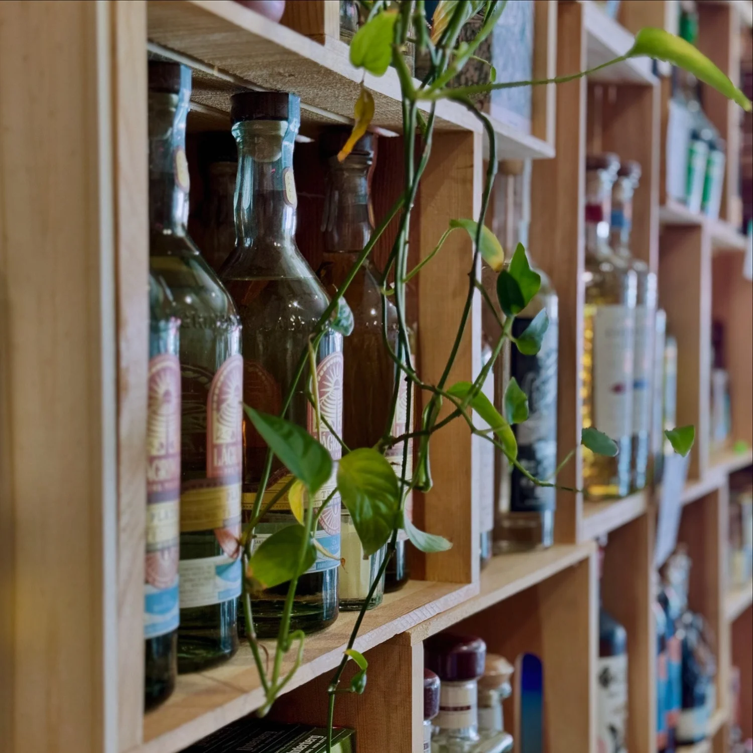 Bar photo 1