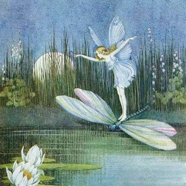 What you&rsquo;ll find in the newsletter this week:

✨Tarot Reflection: 7 of cups
✨A tarot spread: Your soul purpose
✨Book Review: The Self-Sufficiency Garden
✨House witch rituals: Plant Spirit Meditation
✨Plant Profile: Lemon Balm

Link in bio 💖 Th