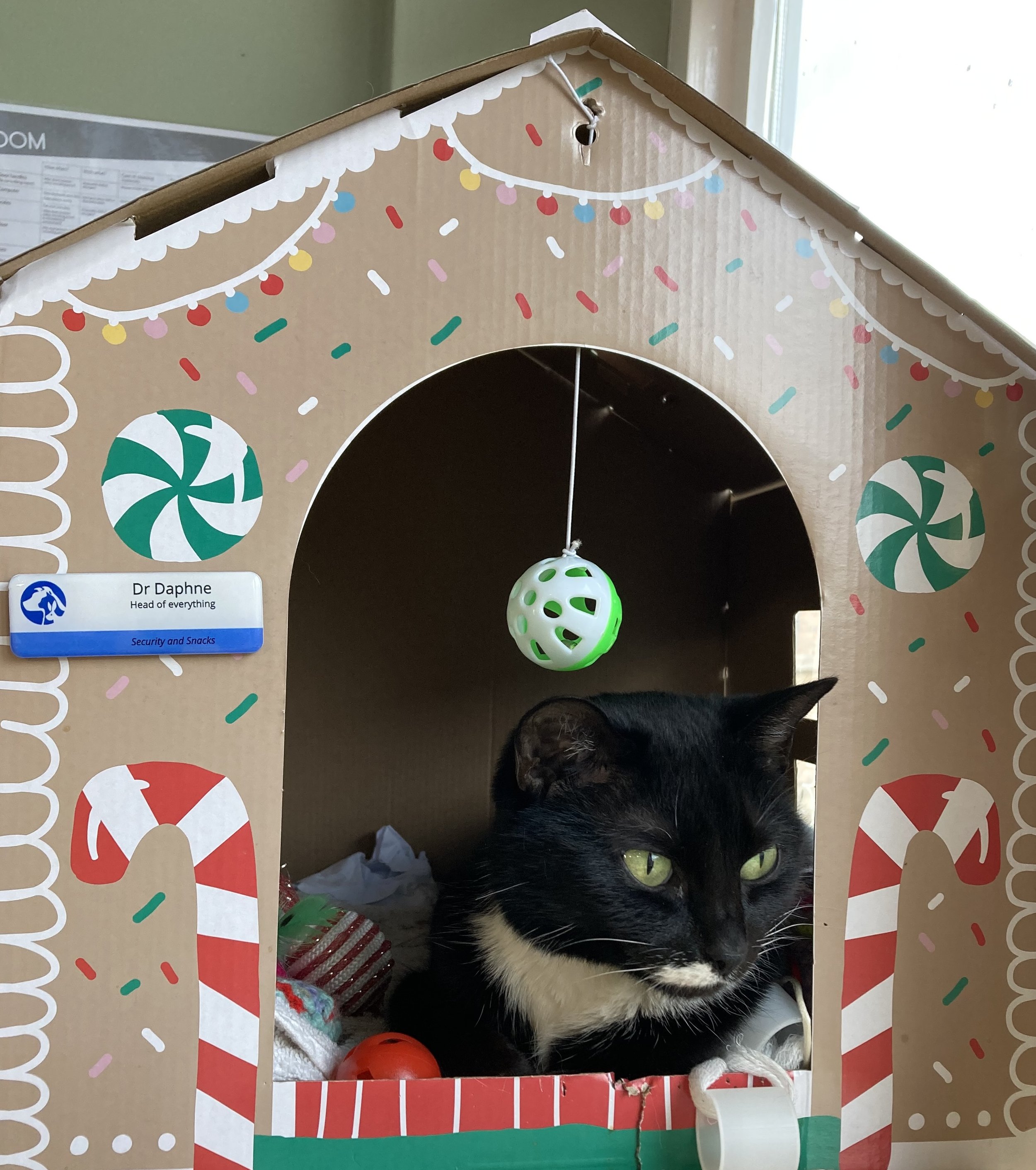 Christmas Opening Times 