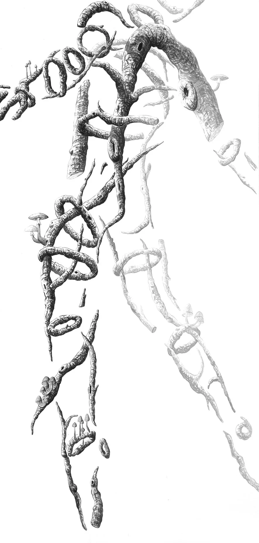 small11.jpg