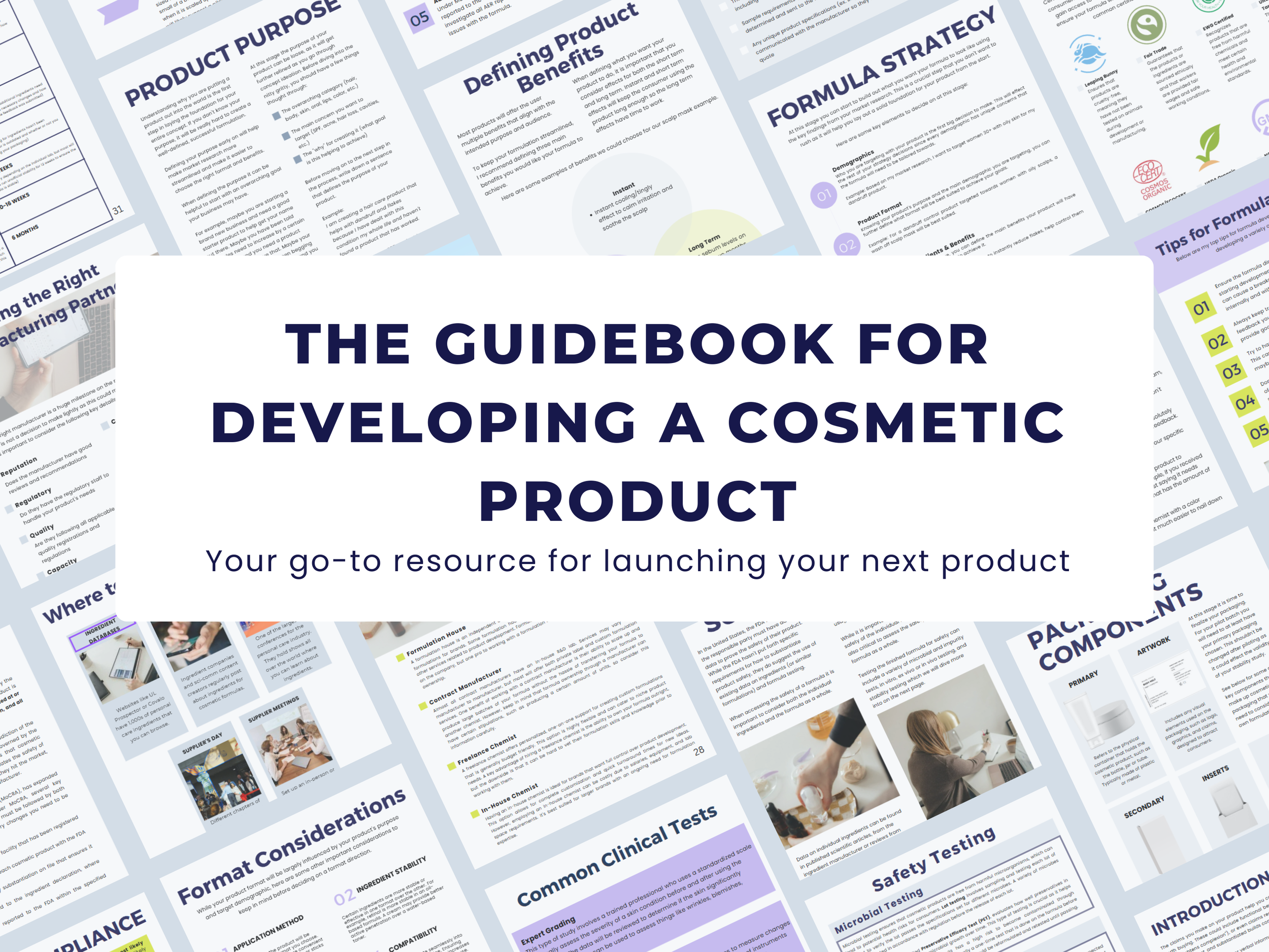THe guidebook for developing a cosmetic product.png