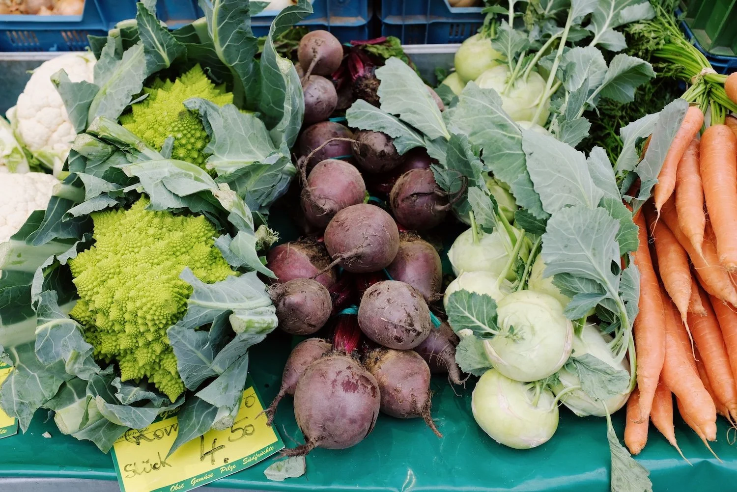 Riverford Organic Farmers
