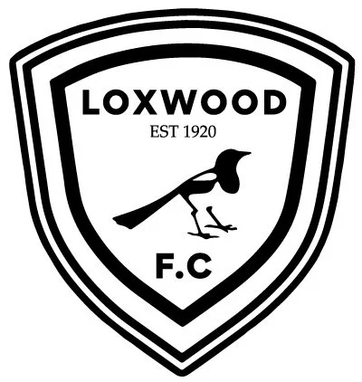 Pin's émaillé Loxwood - Insigne Club De Football Anglais Non-ligue - Collection