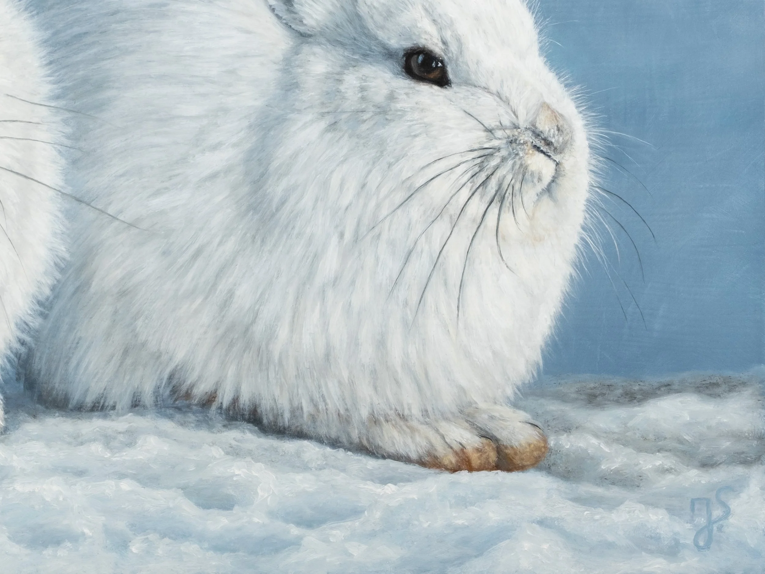 Schneegefährten-2.jpg