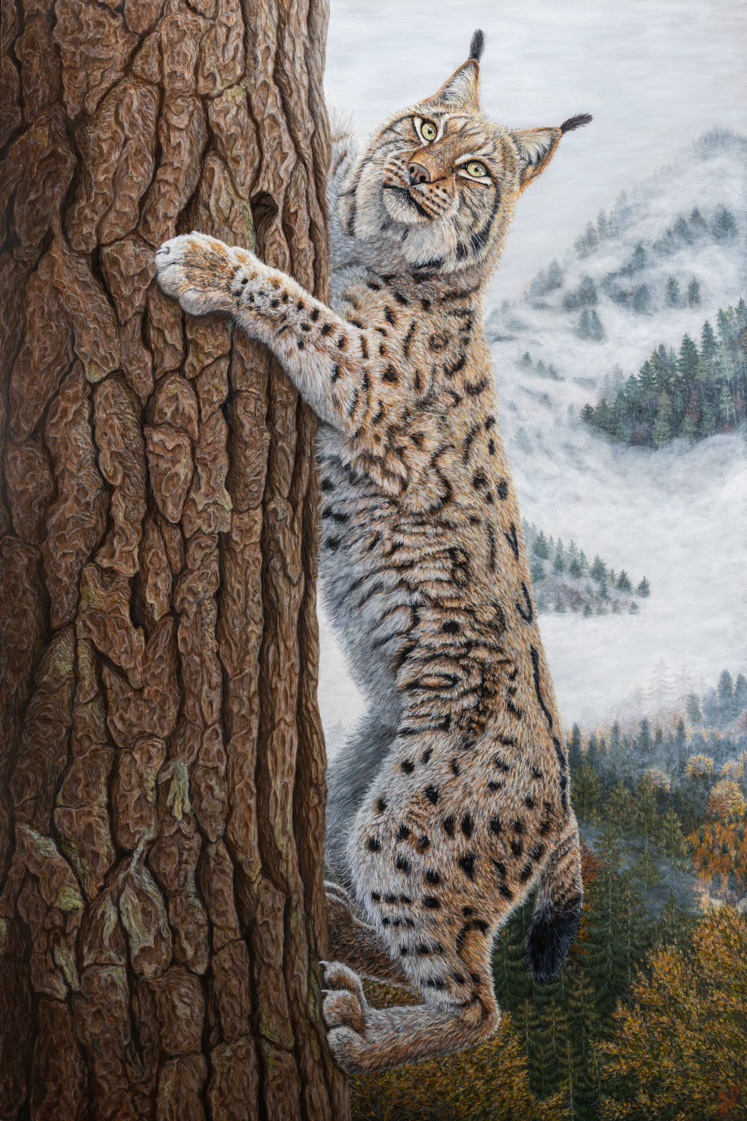 Auf der Suche Komplett.jpg