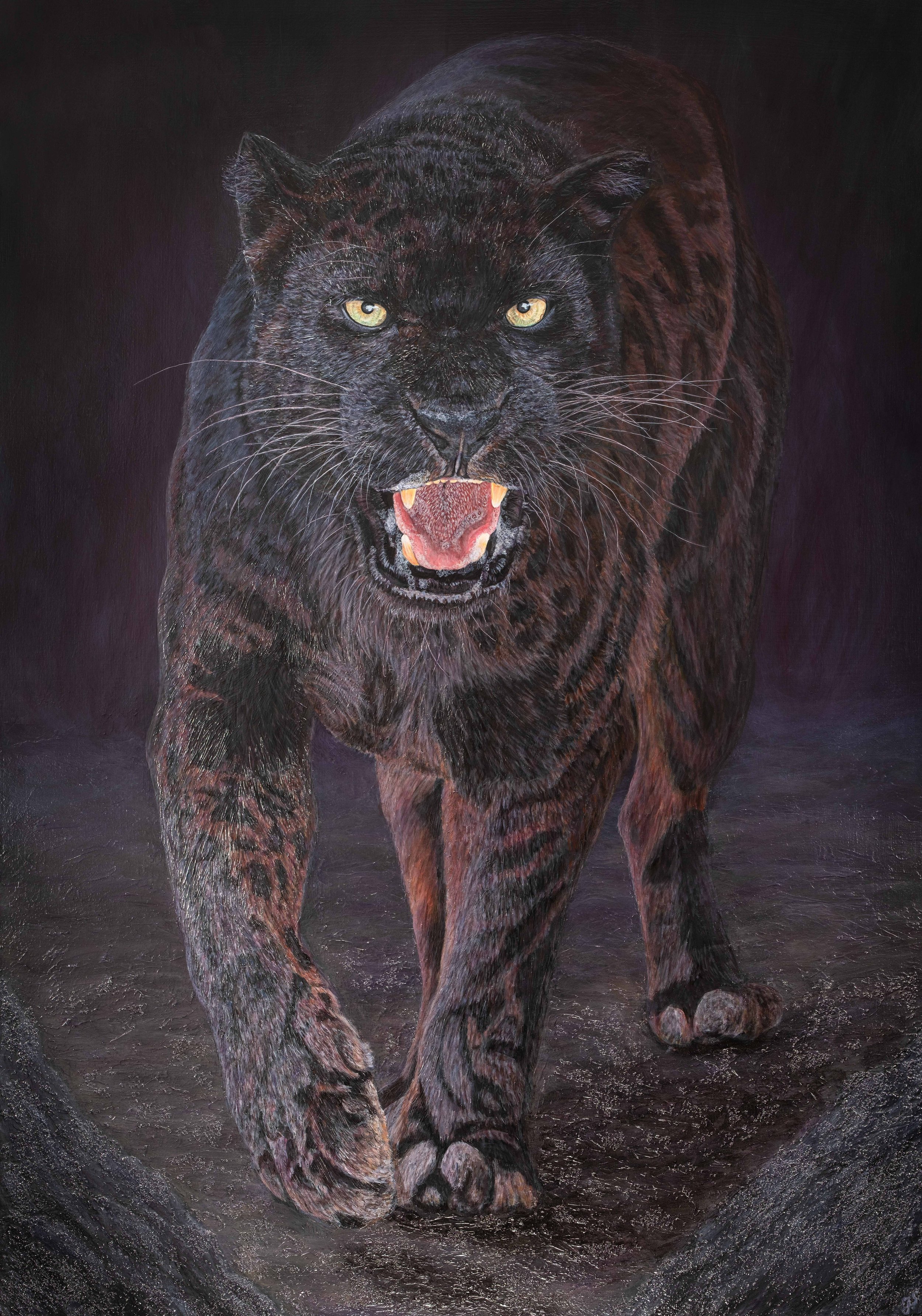 Ungezähmt im Herzen der Nacht