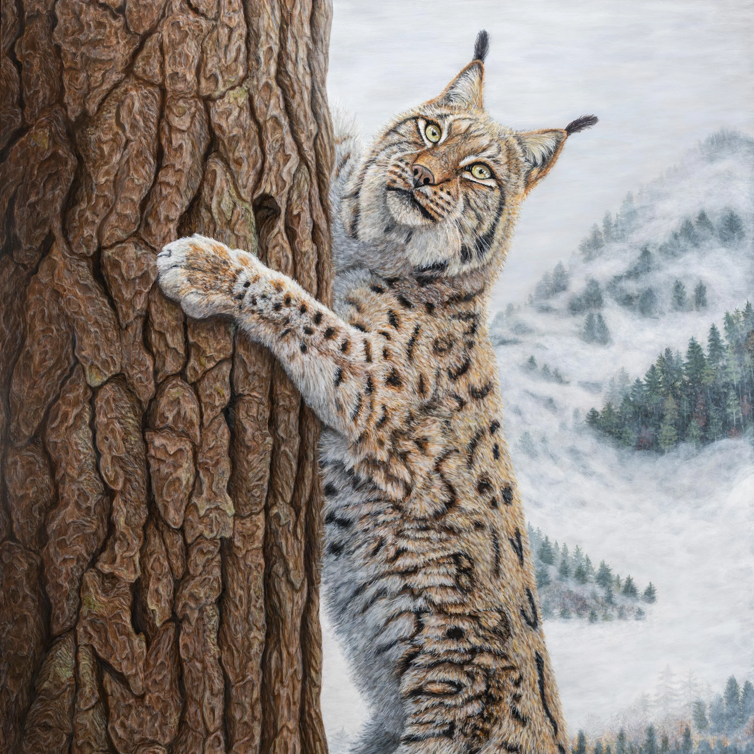 Auf der Suche Cover Website-1.jpg