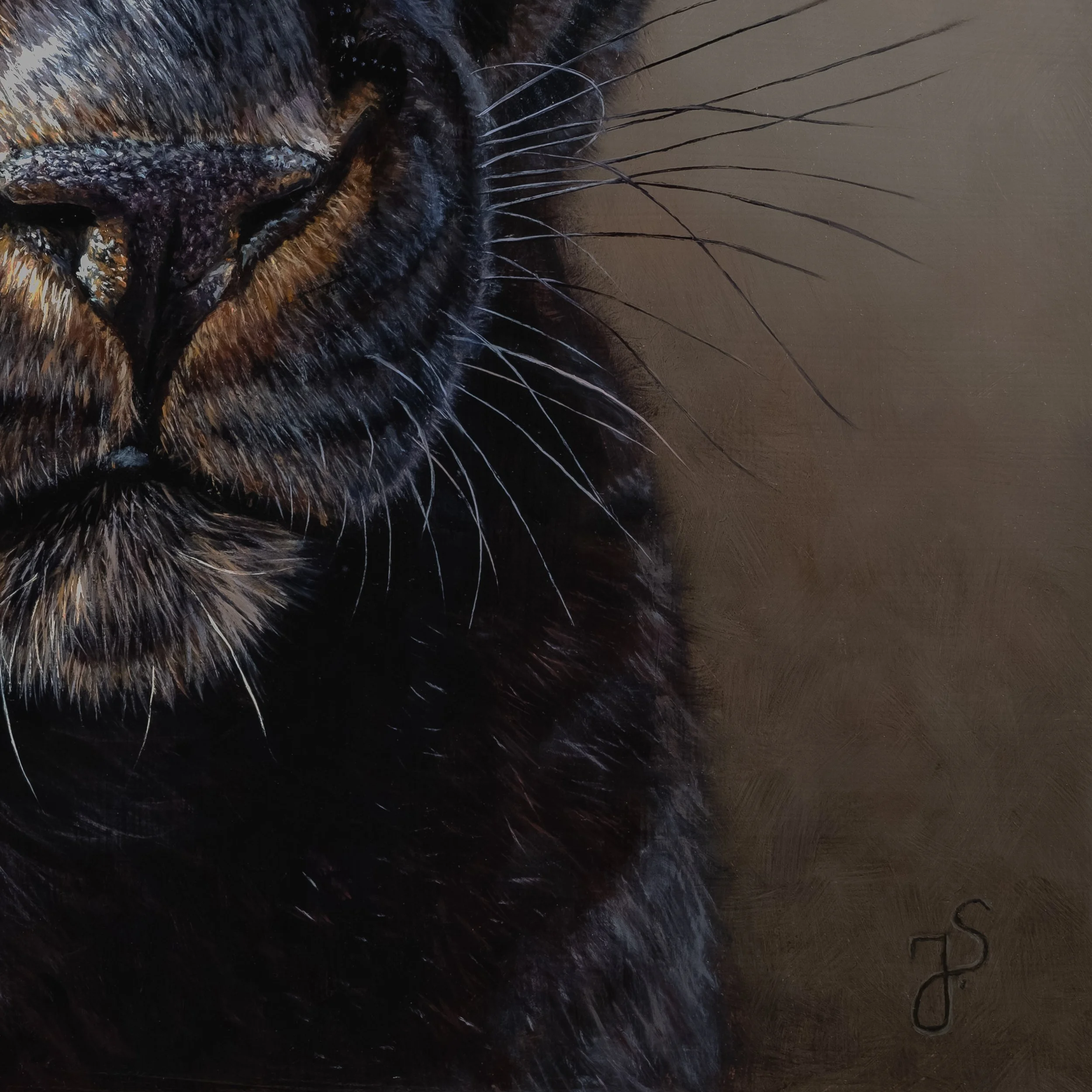Schwarzer Panther-6.jpg