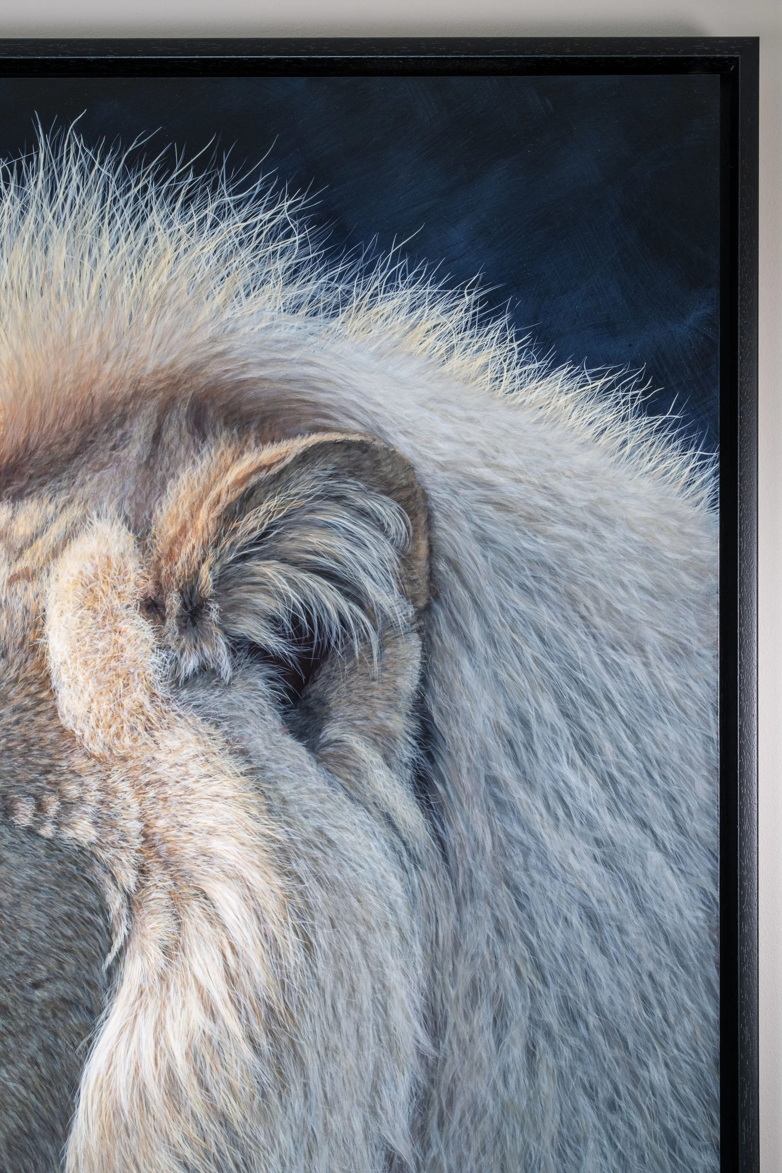 Close up-1.jpg