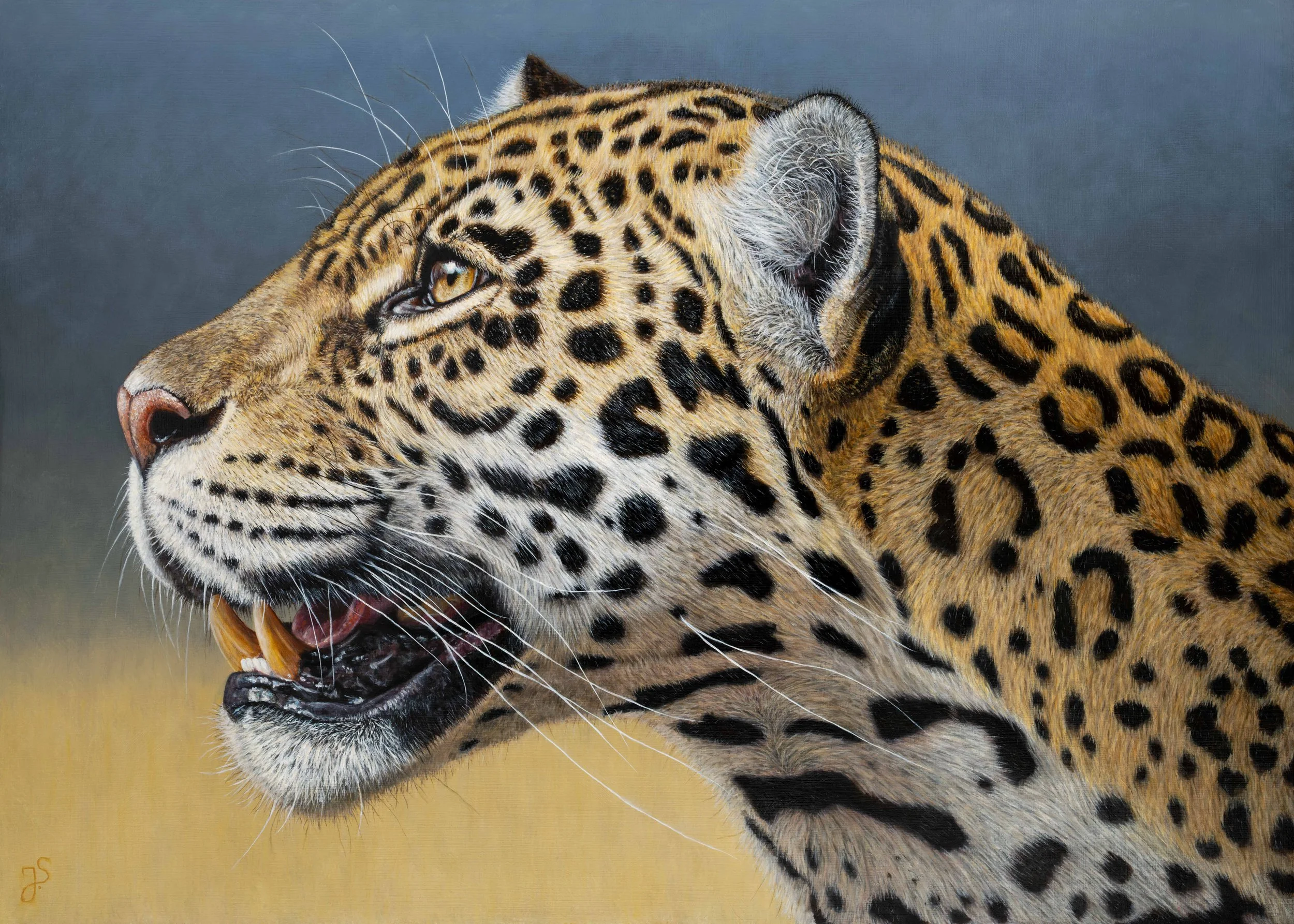 Jaguar.jpg