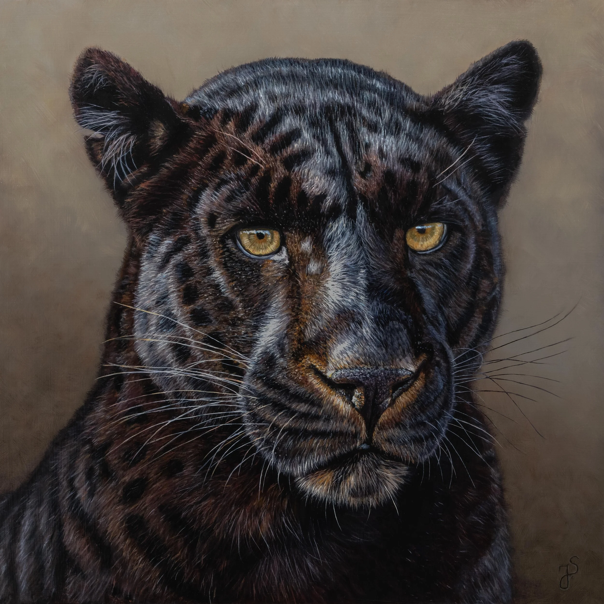 Schwarzer Panther-5.jpg
