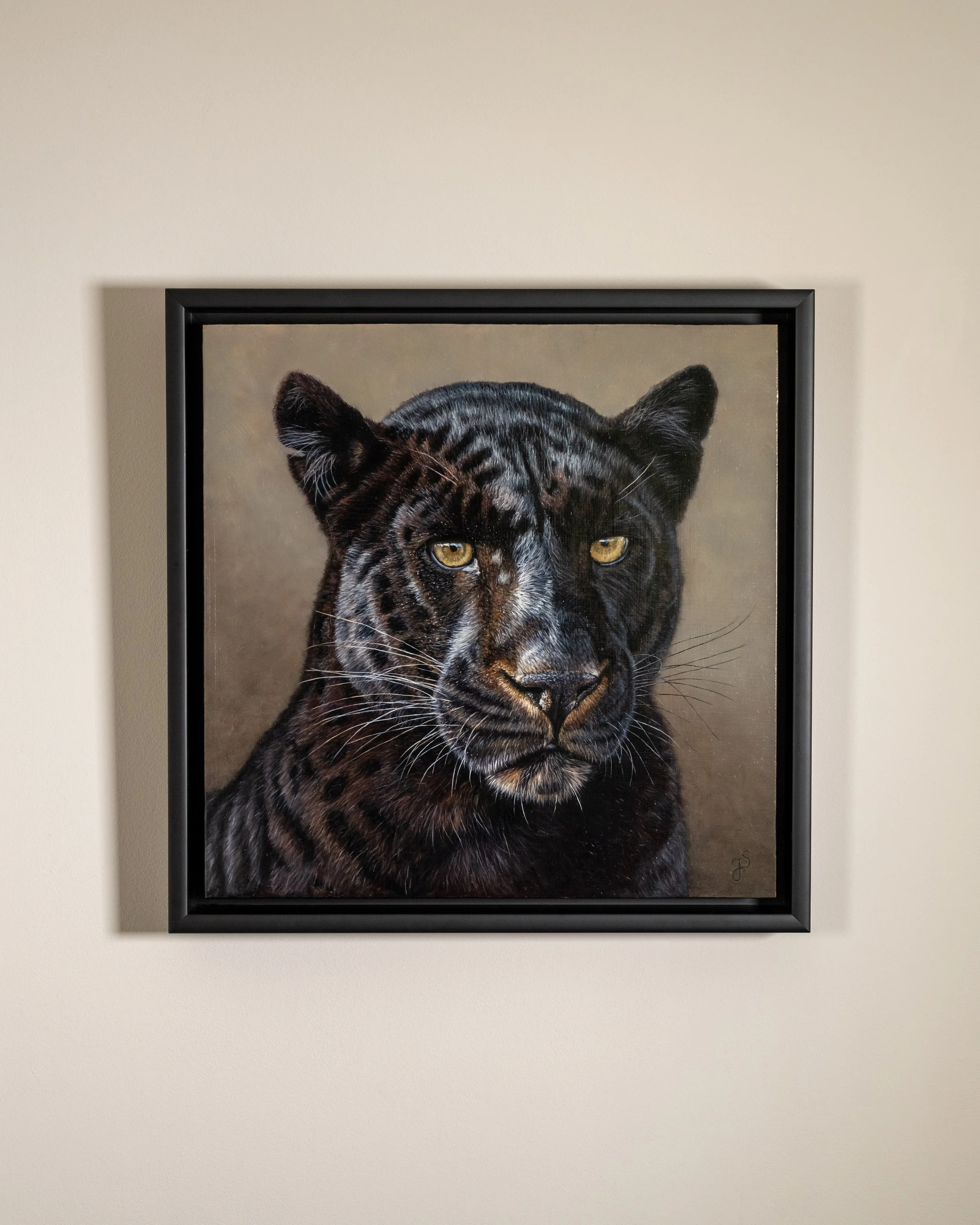 Schwarzer Panther-2.jpg