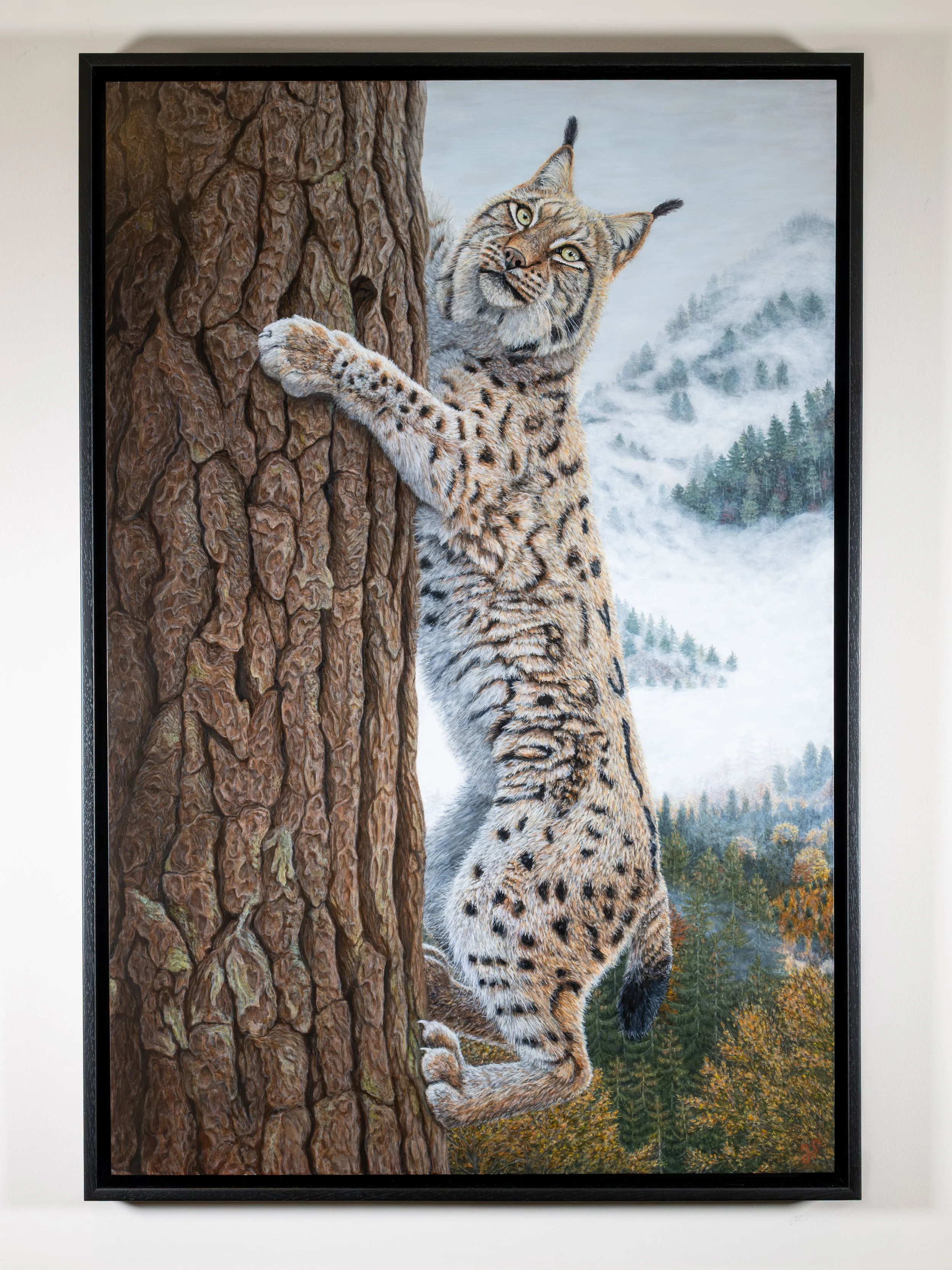 Auf der Suche Prozess-1.jpg