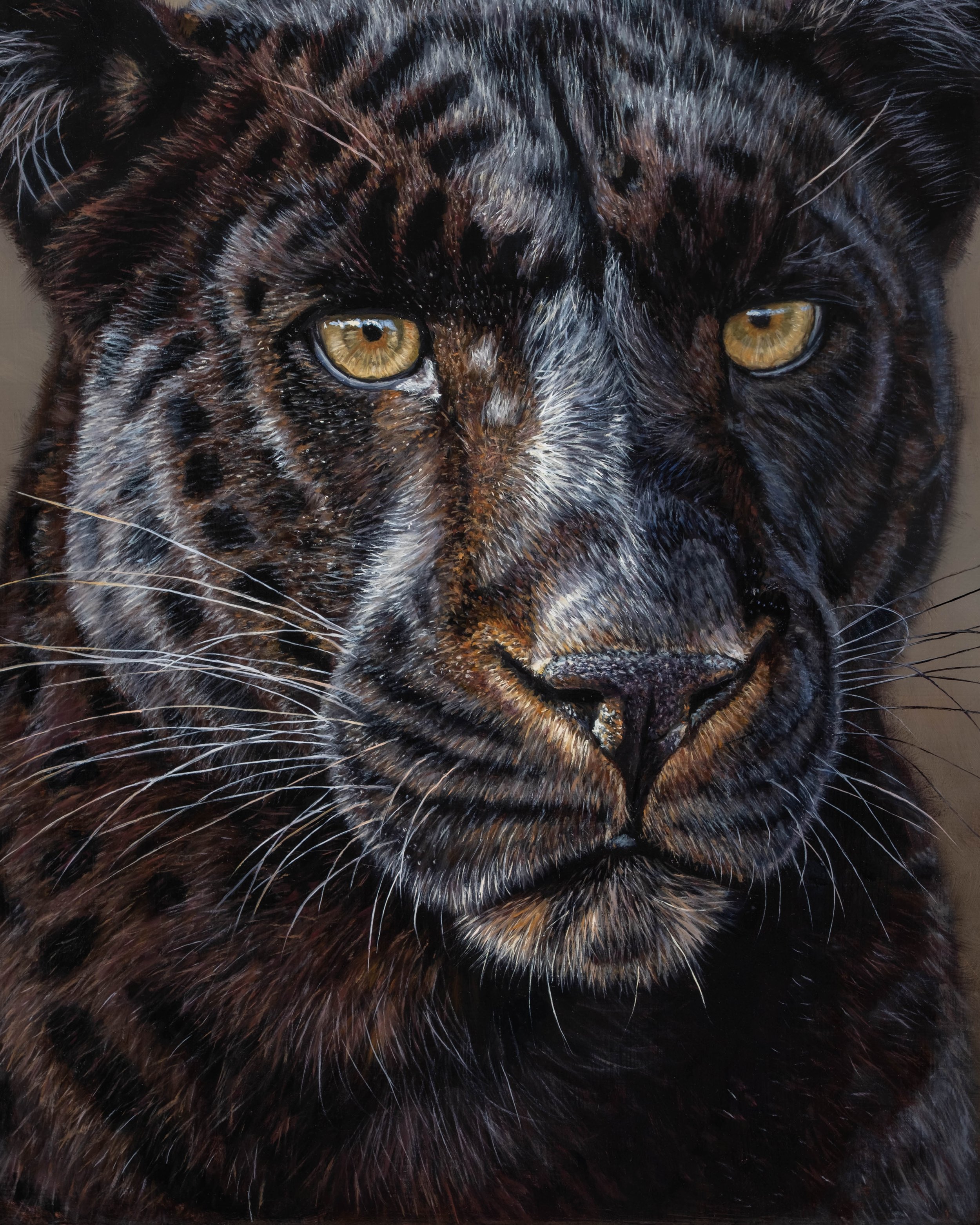 Schwarzer Panther-10.jpg