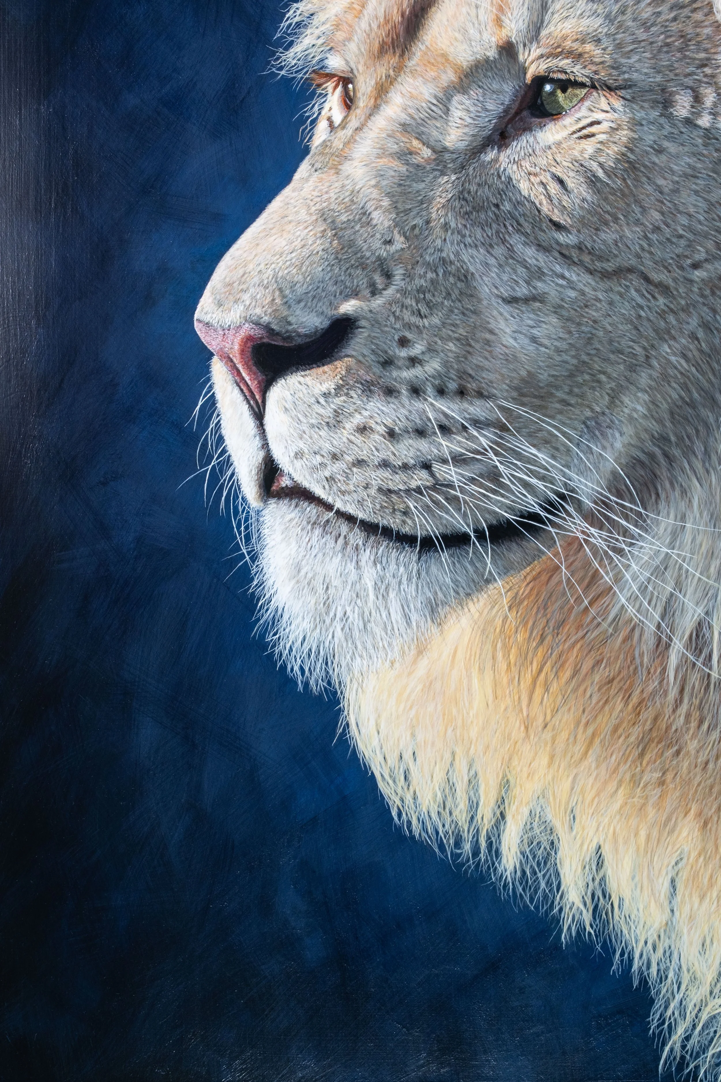 Close up-5.jpg