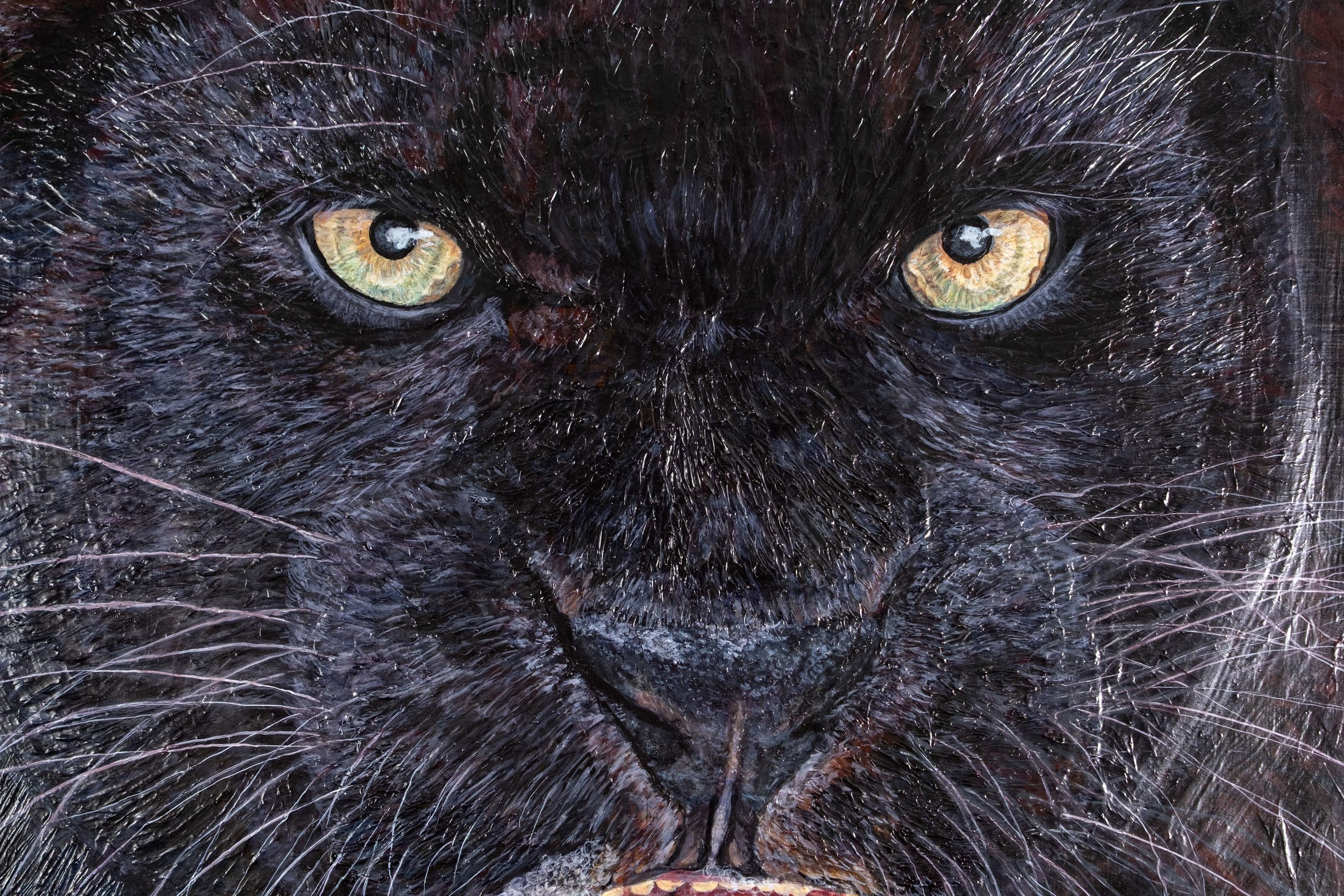 Panther Close Up-2.jpg