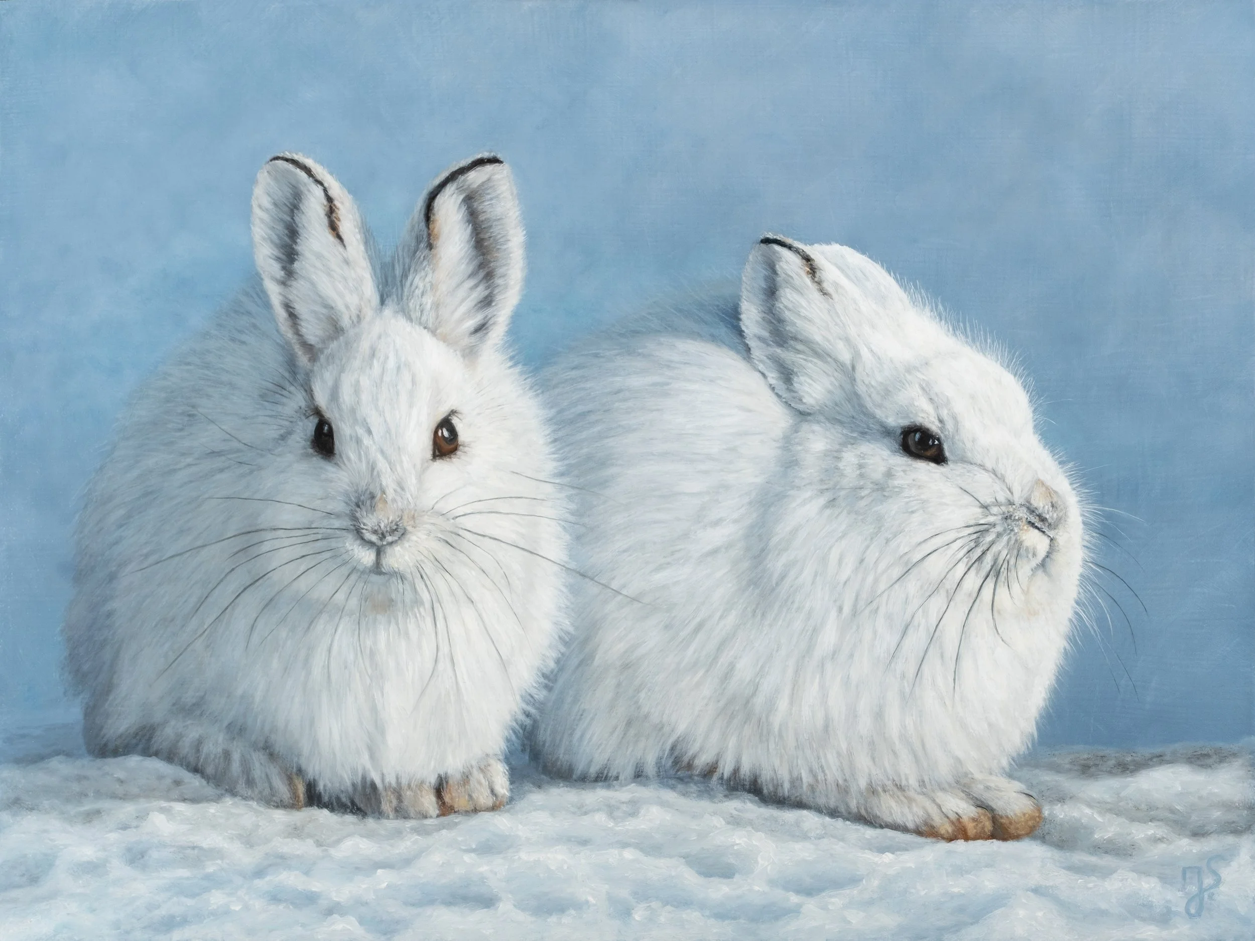 Schneegefährten.jpg