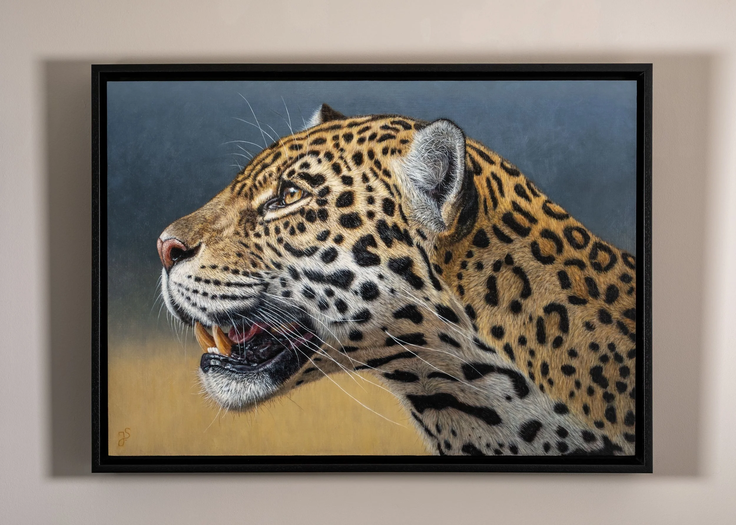 Jaguar-4.jpg