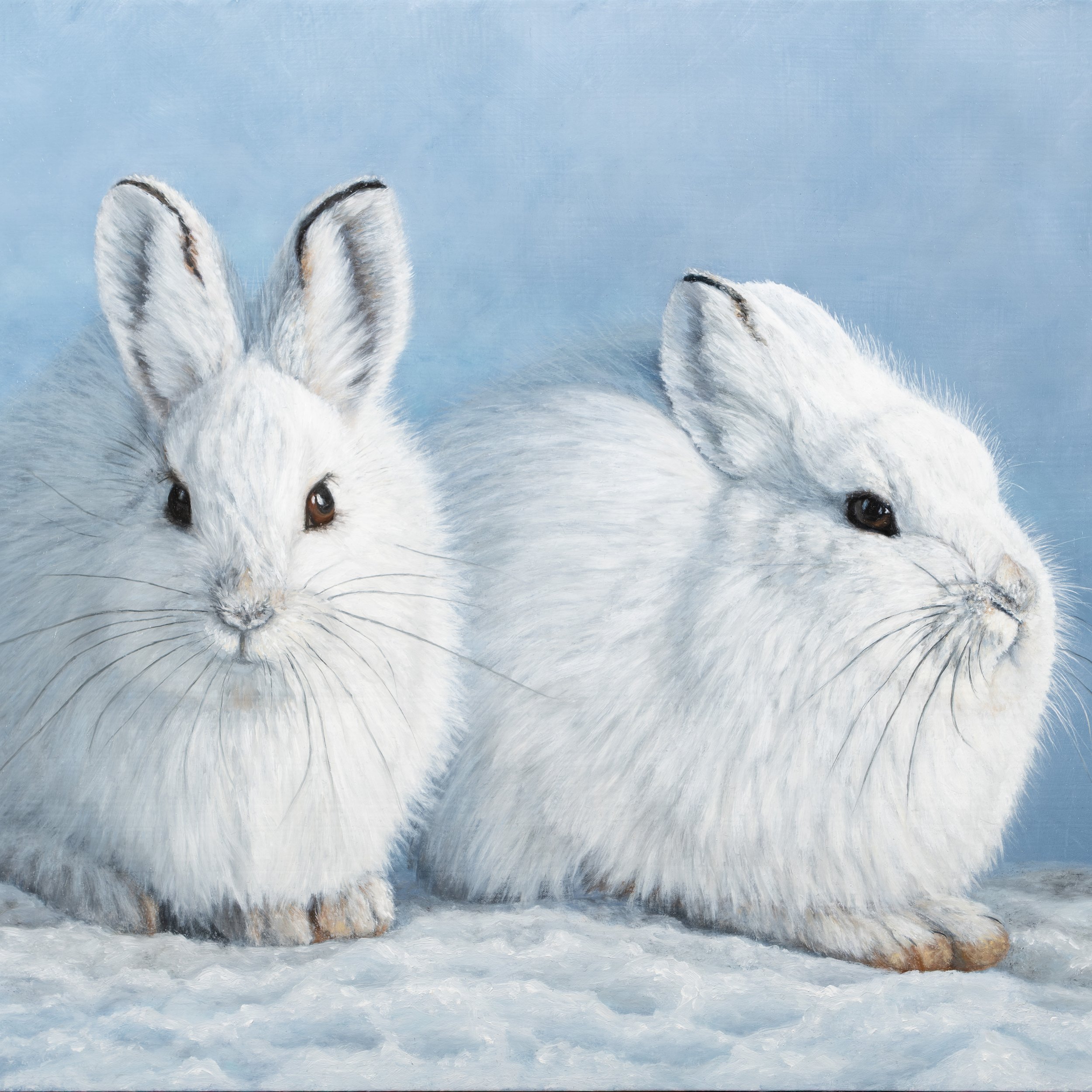 Coverbild Website.jpg