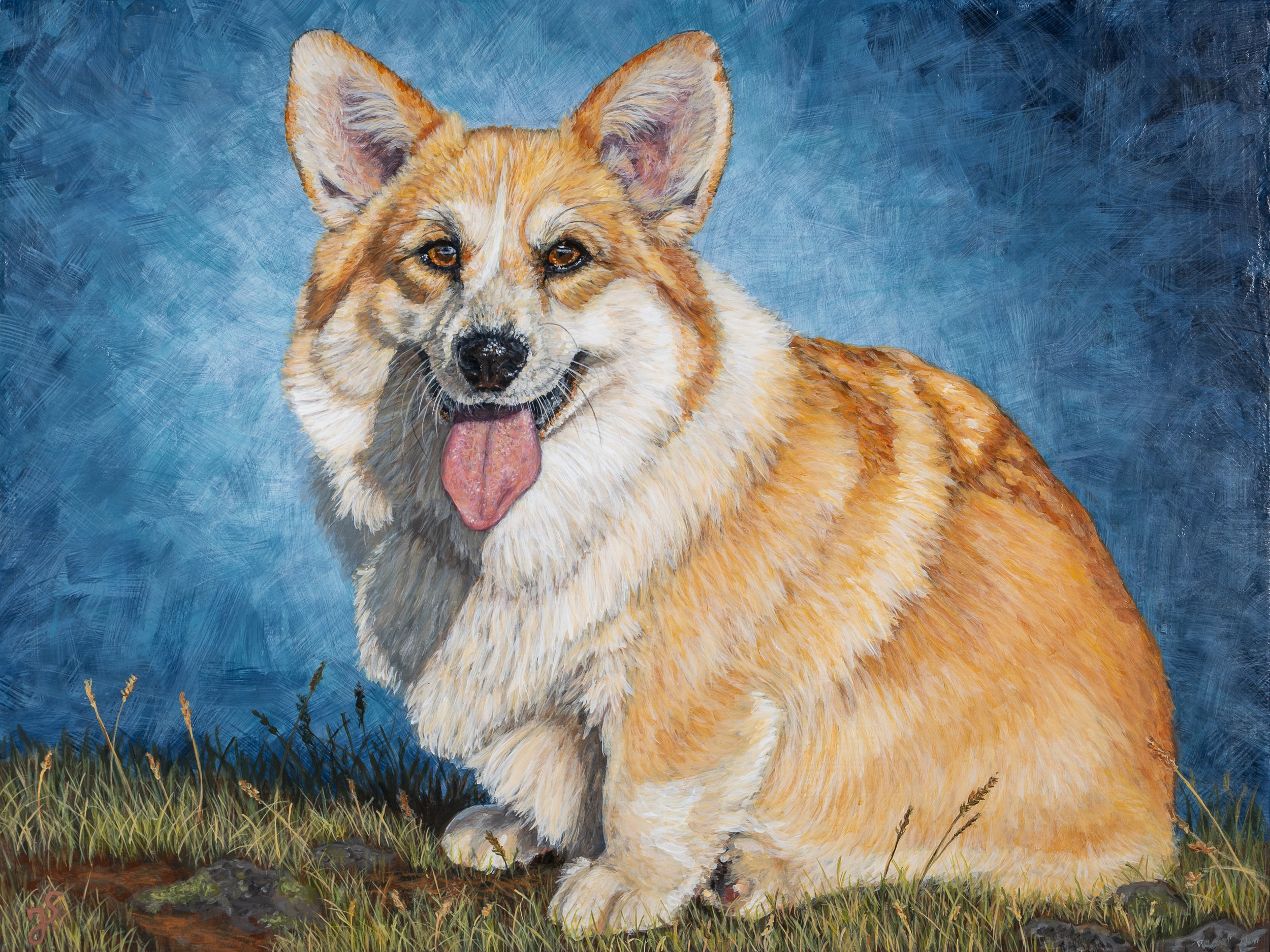 Corgi Website.jpg