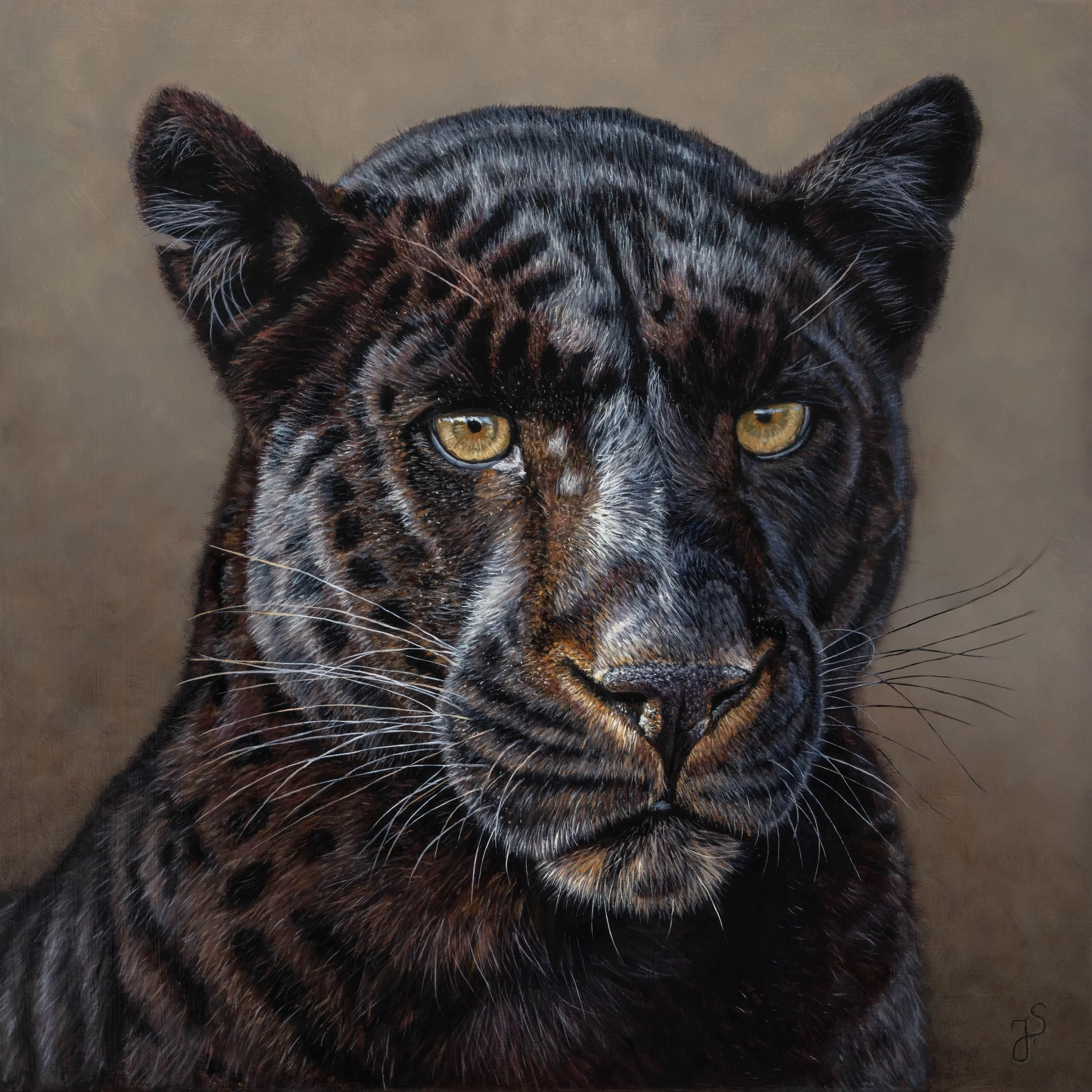 Schwarzer Panther