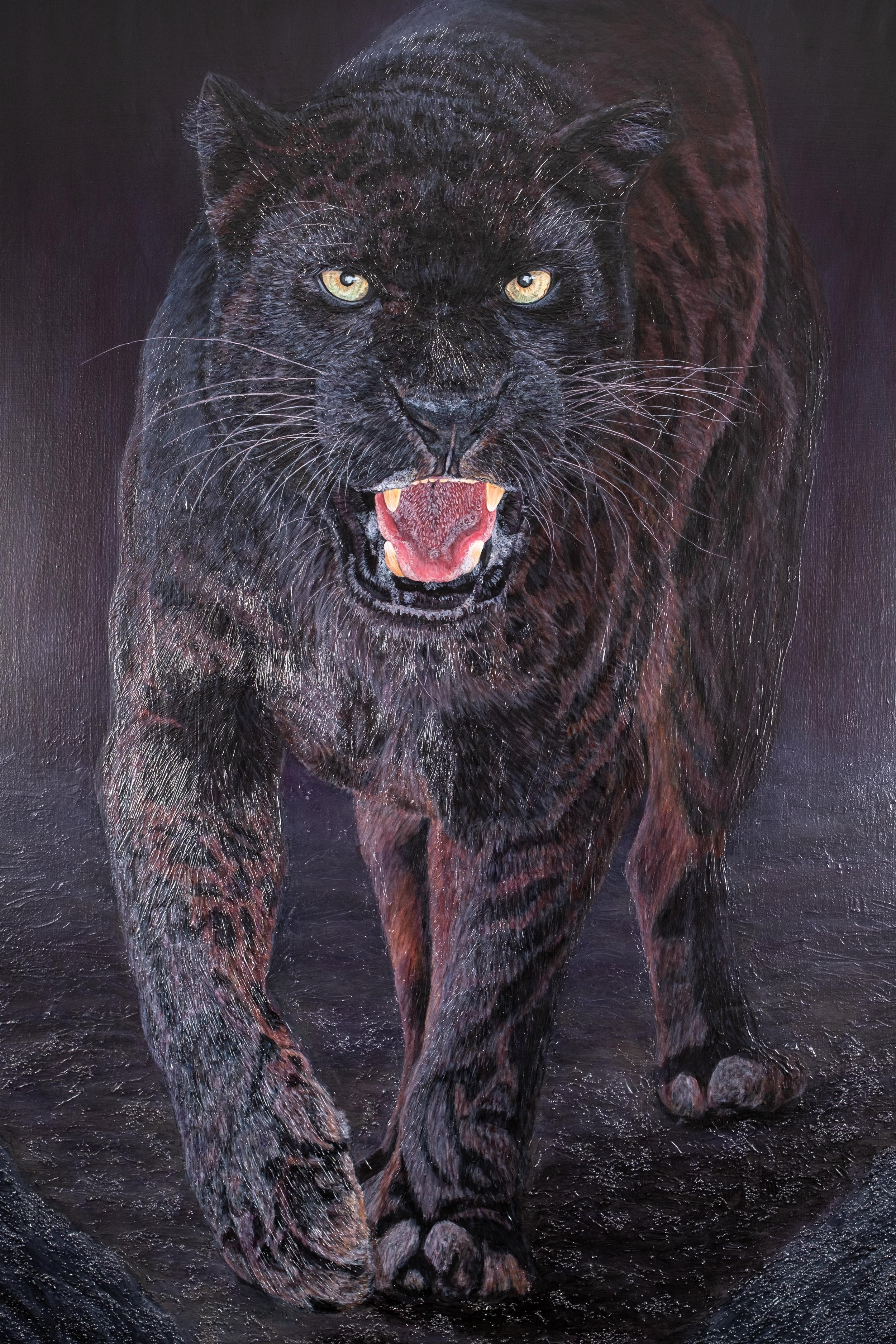 Panther Close Up.jpg