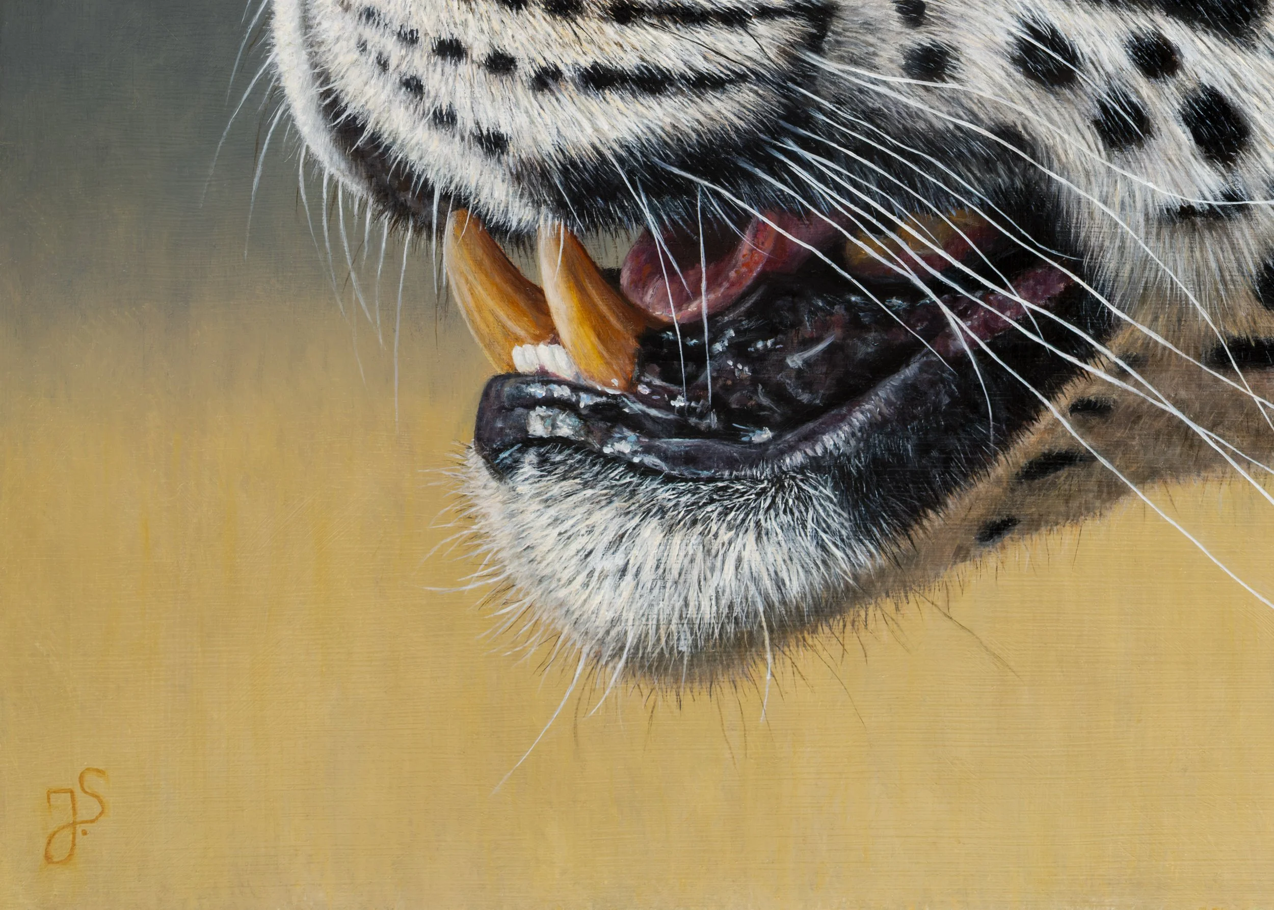 Jaguar-2.jpg