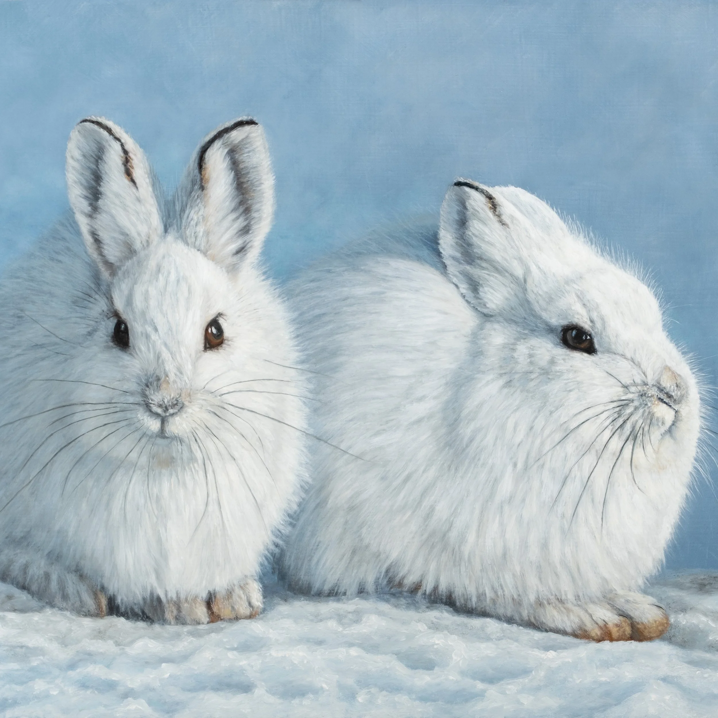 Schneegefährten