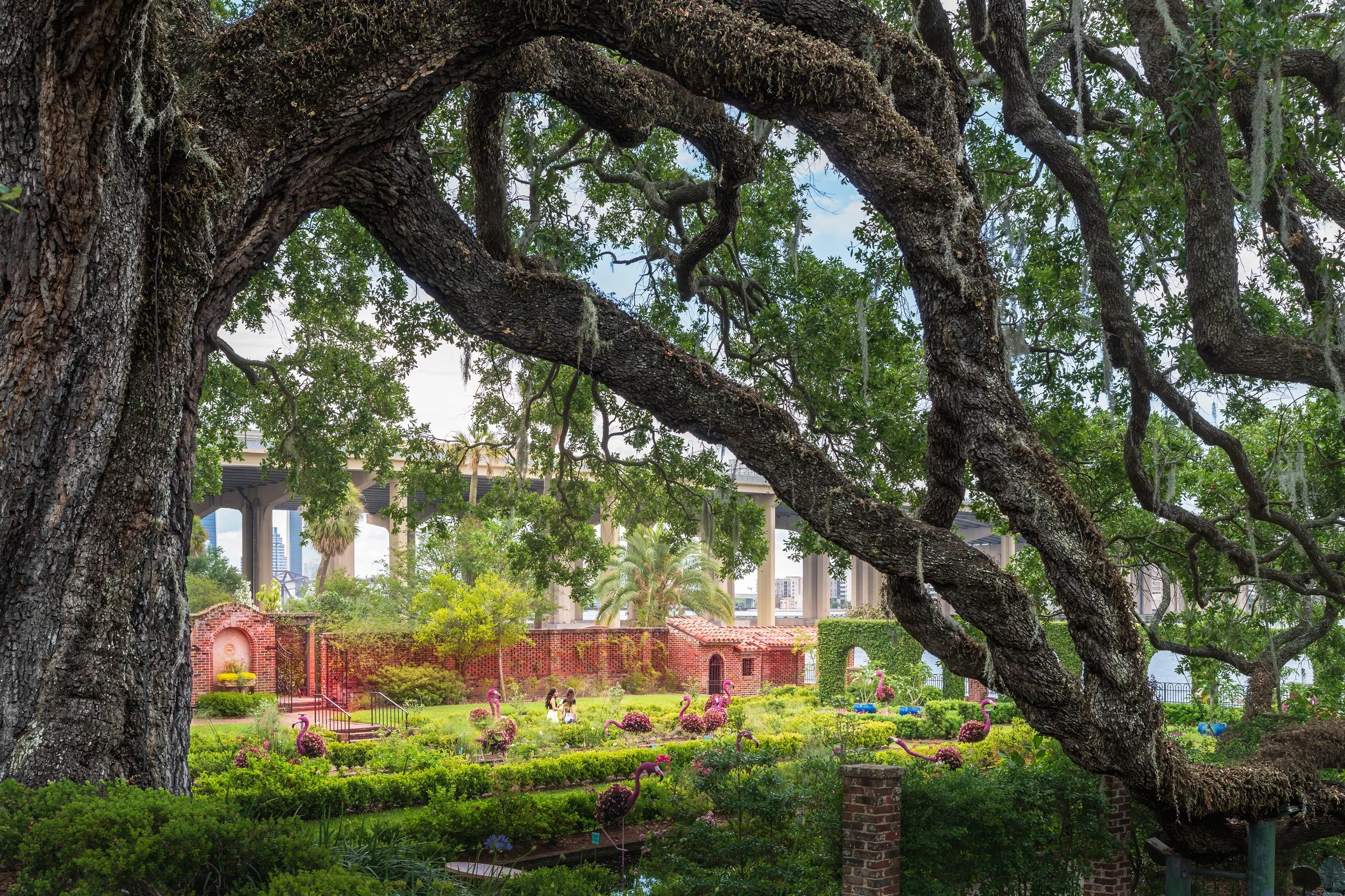 Jacksonville Park Web.jpg