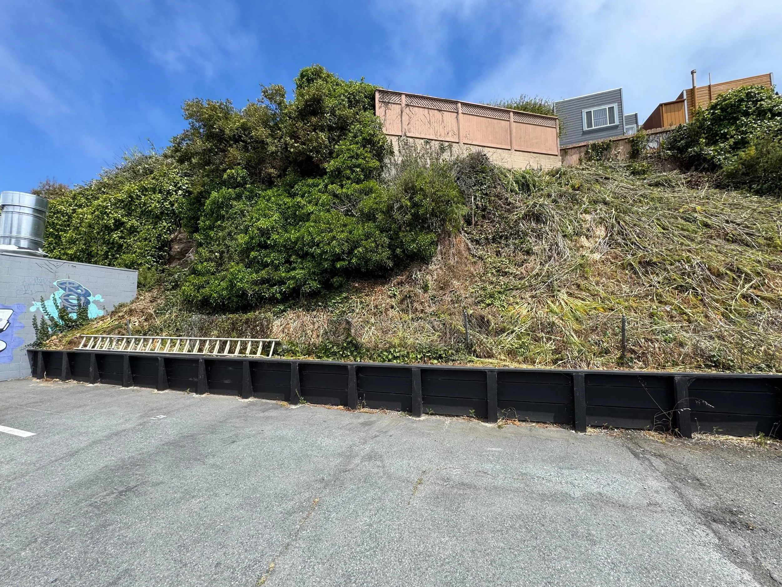 Existing site conditions prior to commencement of retaining wall construction.