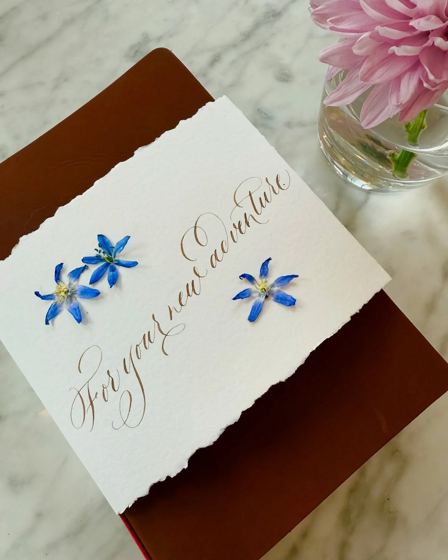 When you get asked to do a book jacket for a very special gift 🥰 Thank you @natatlantic (and of course the one and only @marynavas12) for supporting my small business. 

#walnutink #moderncalligraphy #calligraphylove #watercolour #forgetmenots #loca