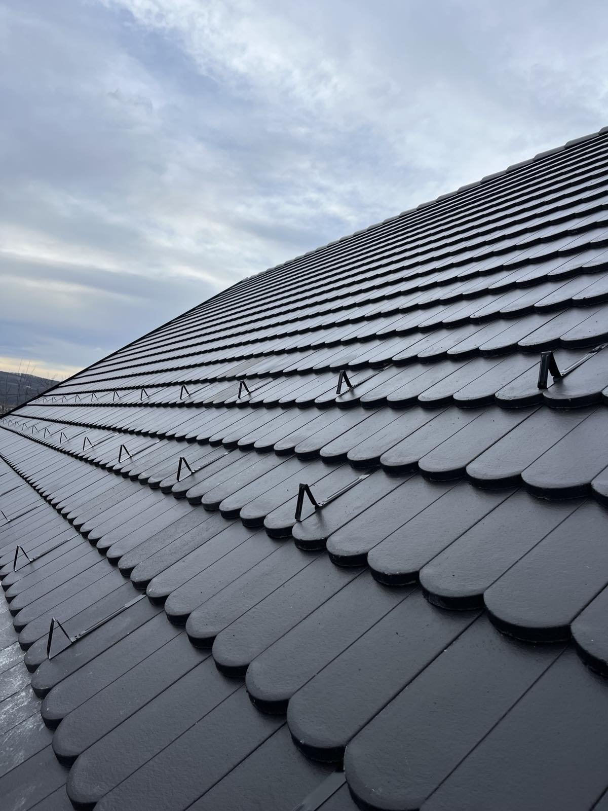 Crijep Terran Rundo I Drazetic Limarija.jpg