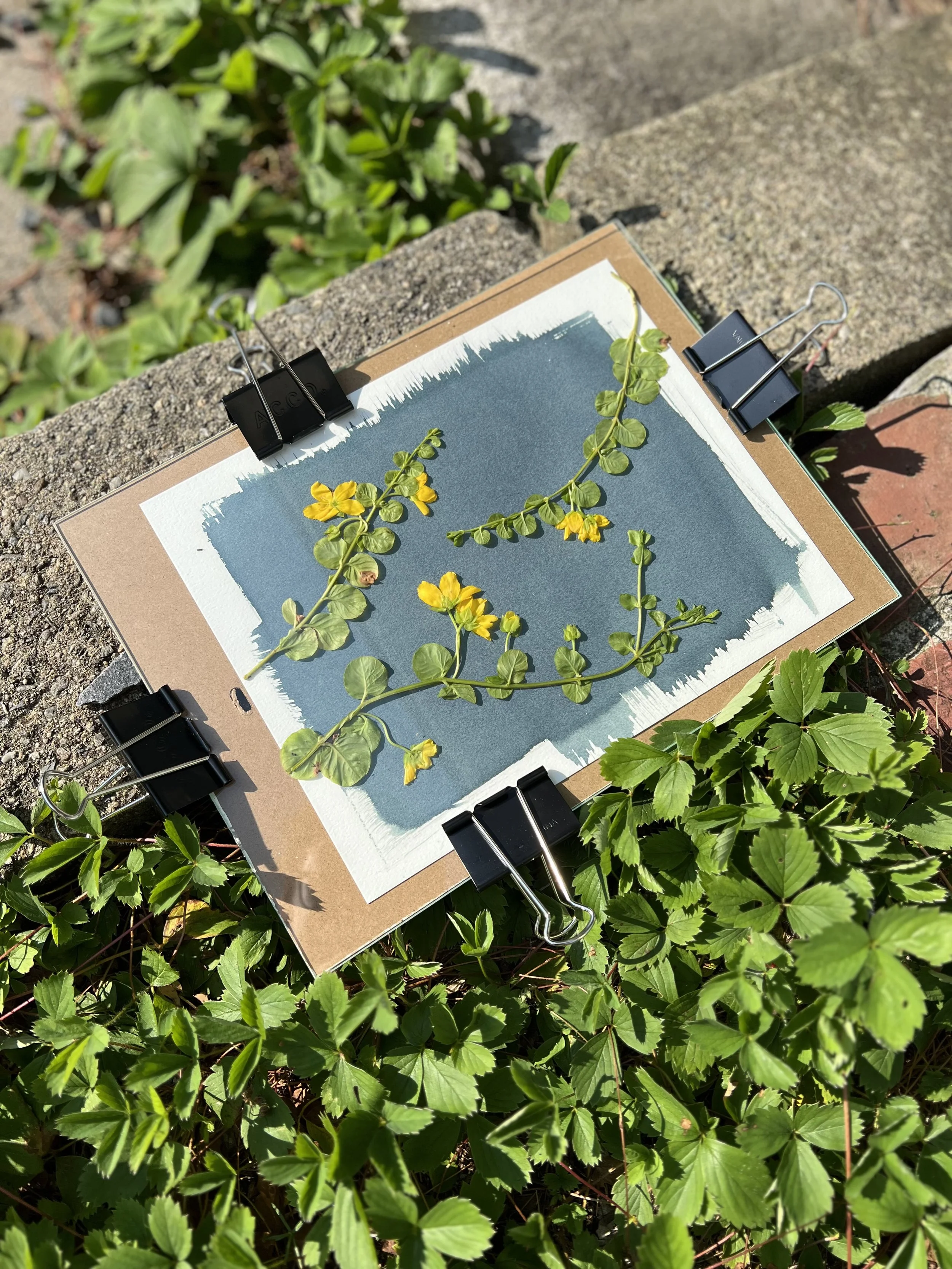 Cyanotype I - Basics 