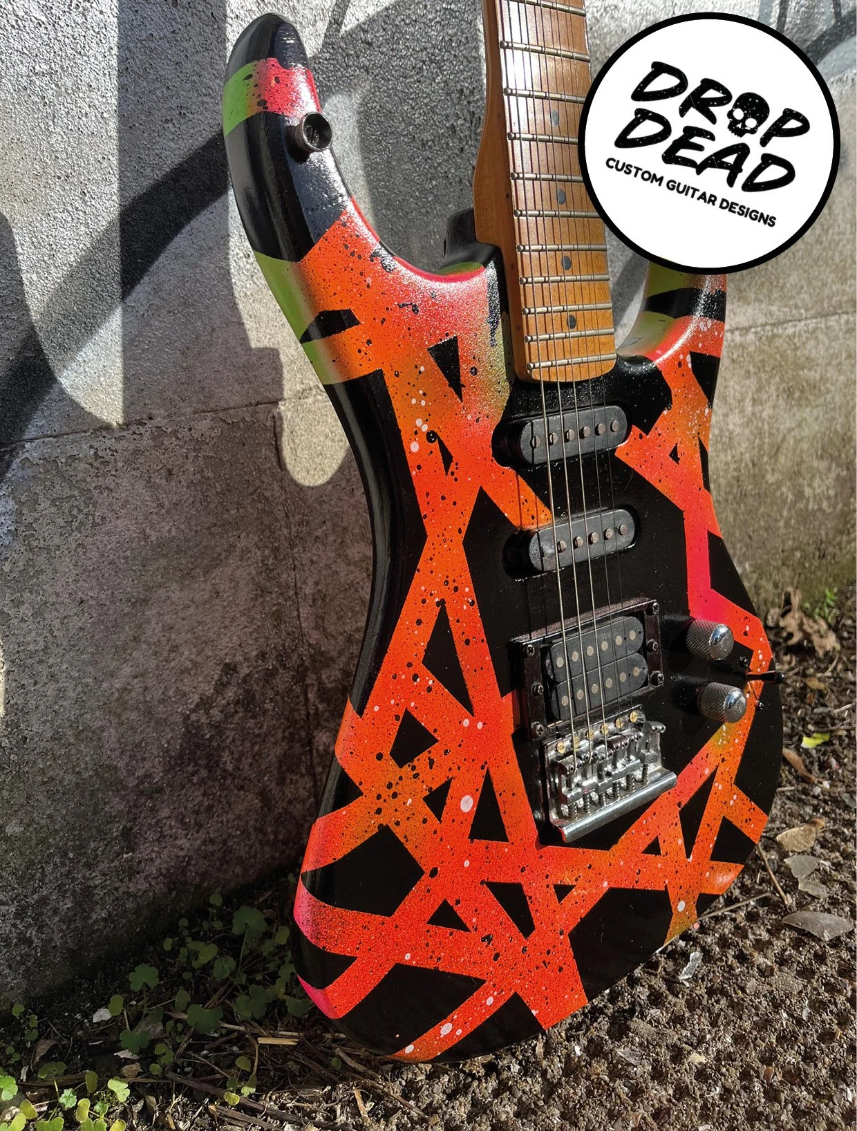 EVH multi colour black body outside5.jpg