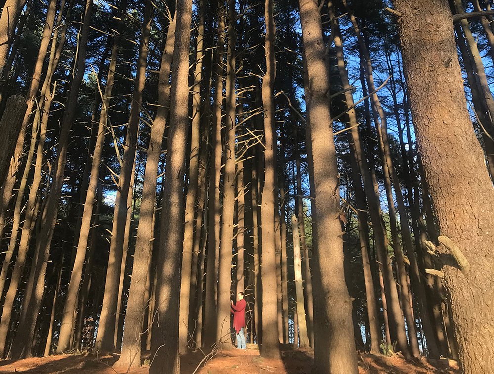 Maria standing in the woods offering reiki
