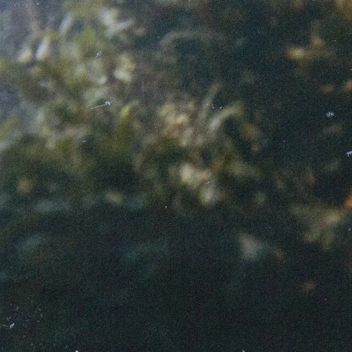 The Aber34.jpg