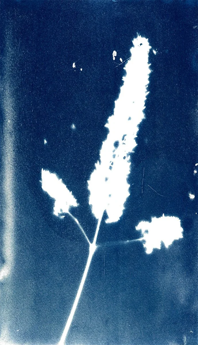 The Aber44.jpg